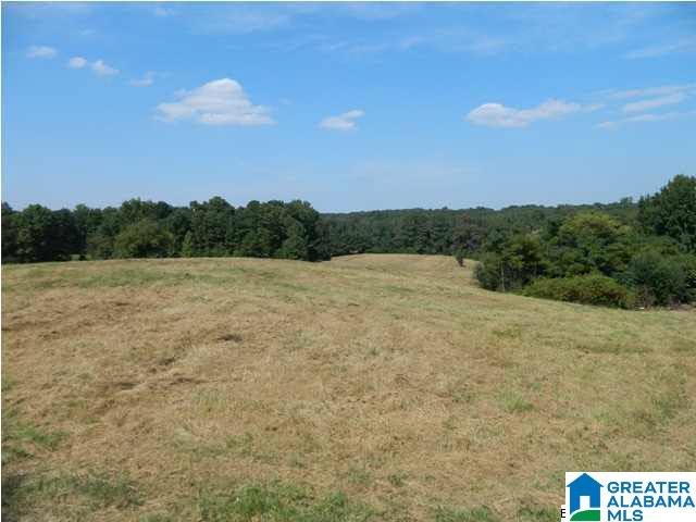 9545 Bankston Road Dora, AL 35062 - Photo 1 of 4