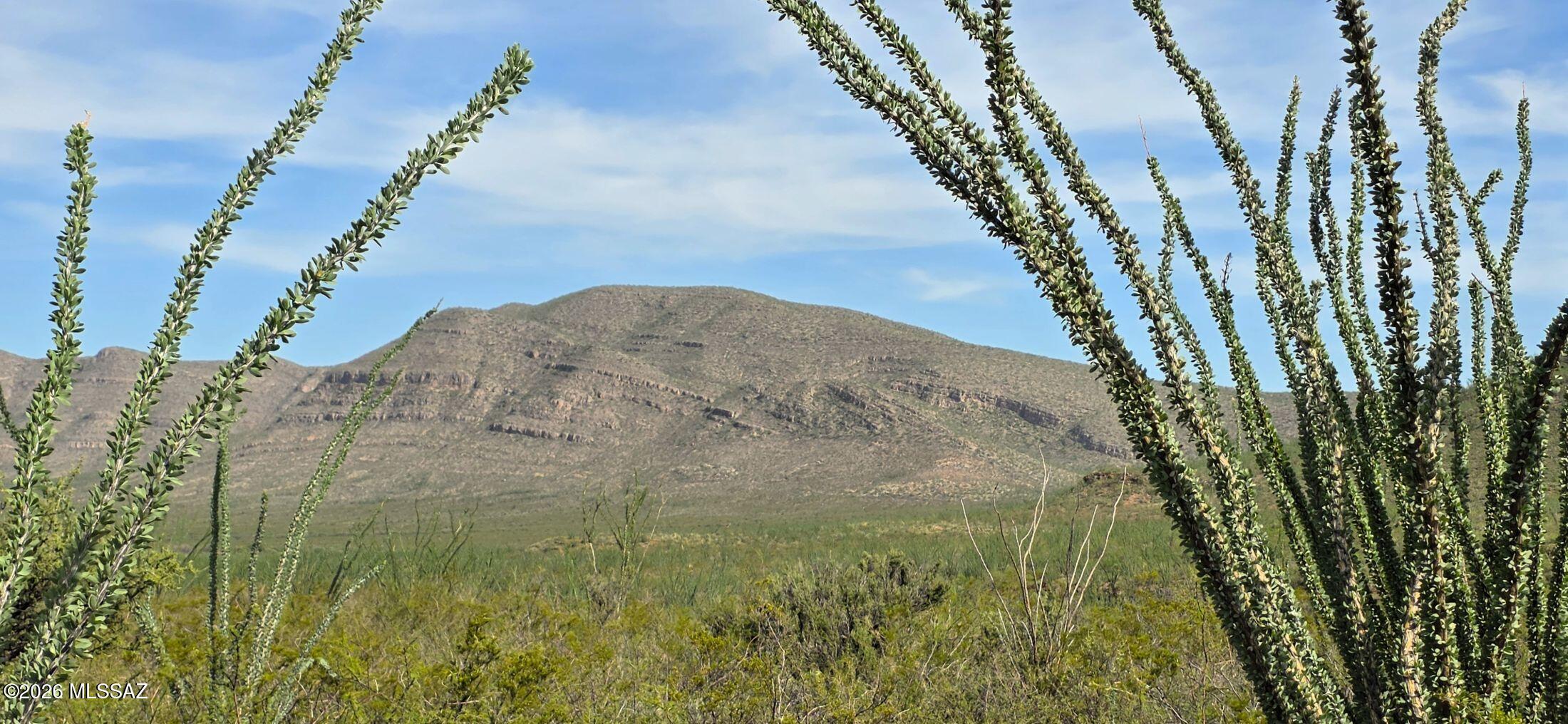 120 East Windmill Road Tombstone, AZ 85638 - Photo 1 of 12 120 AC