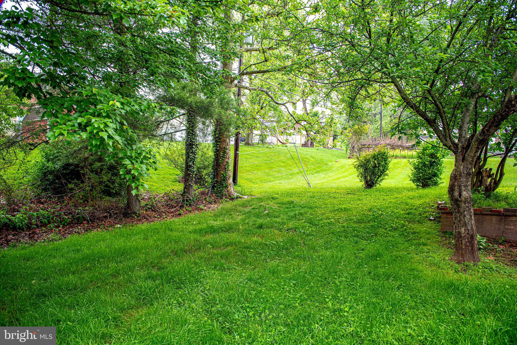 1607 Weyburn Road Rosedale, MD 21237 - Photo 31 of 36 a view of yard with trees
