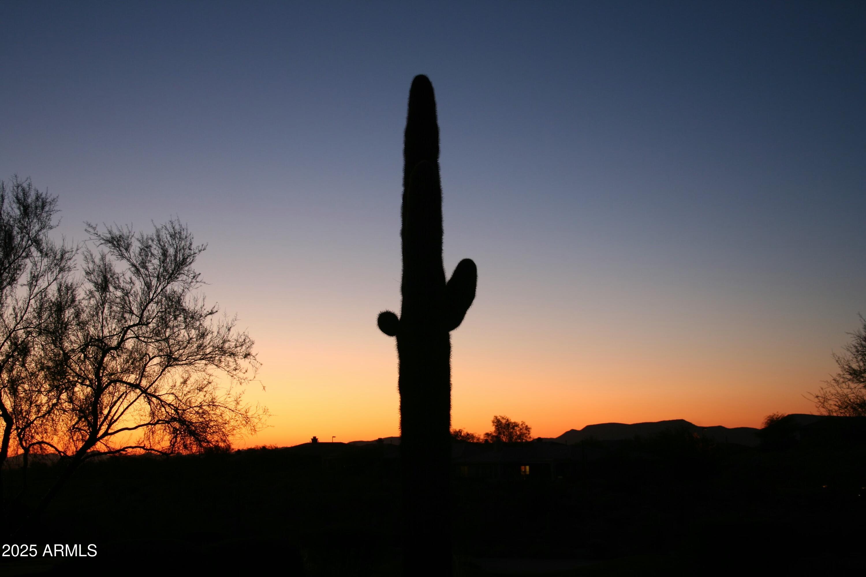 41601 North River Bend Road Anthem, AZ 85086 - Photo 96 of 97 a view of a sky from a yard