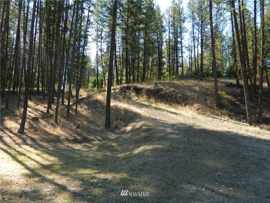 229 Main Road Tonasket, WA 98855 - Photo 15 of 25