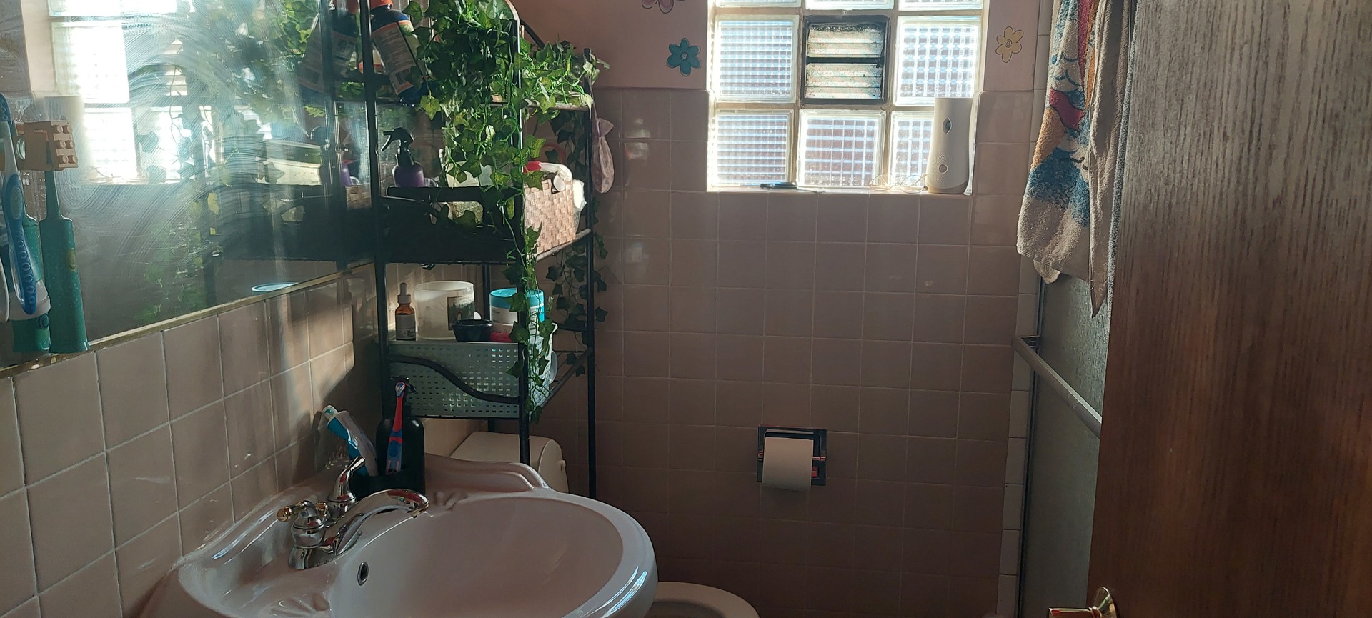 554 South Craig Place Lombard, IL 60148 - Photo 9 of 14 a bathroom with a sink and mirror