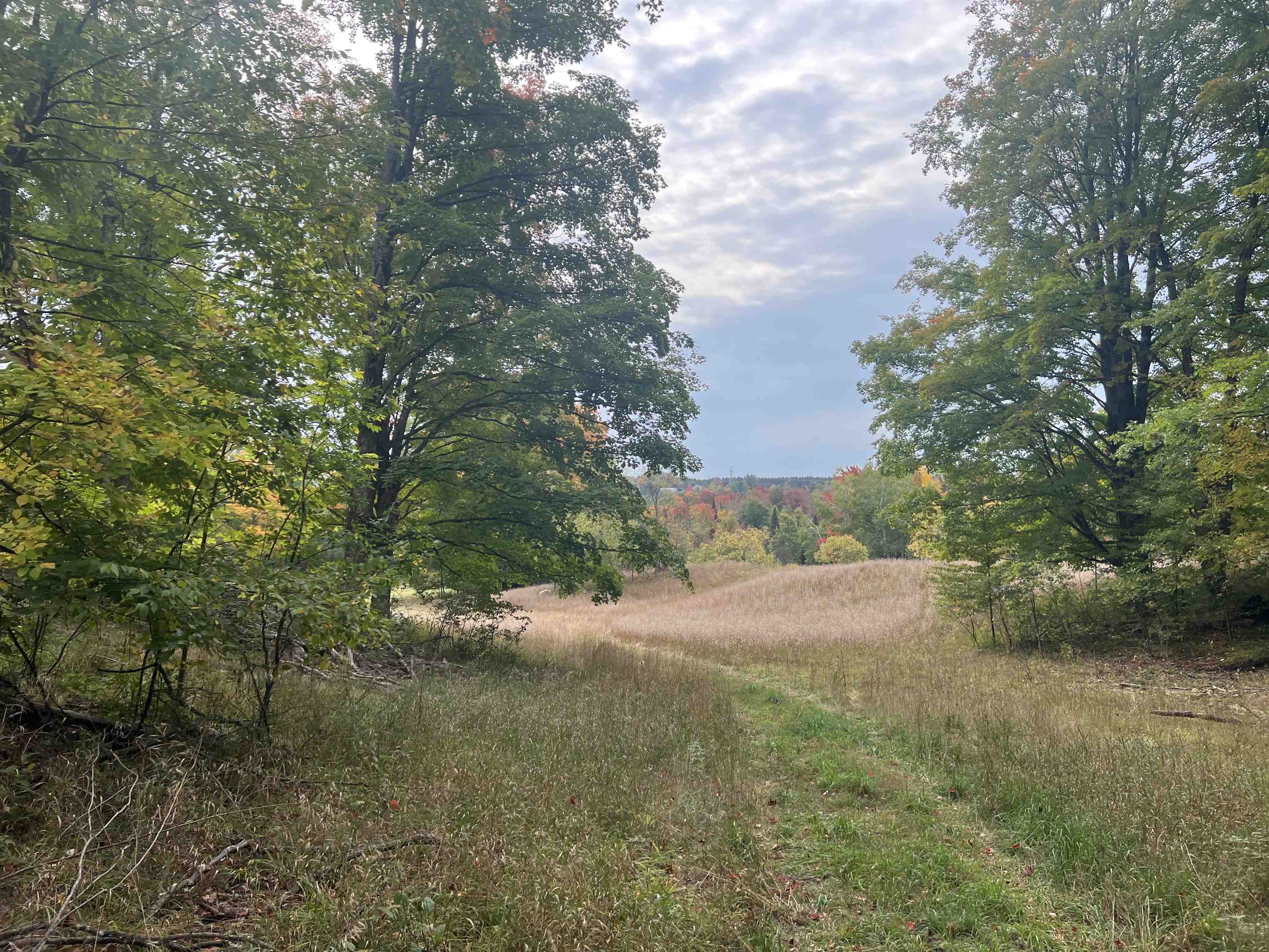 90 A Ridgeview Drive Kalkaska, MI 49646 - Photo 60 of 75