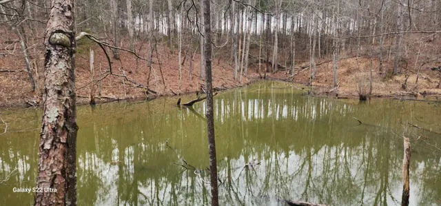 $287,000 | 19 North Highway 411, Crandall, GA 30711