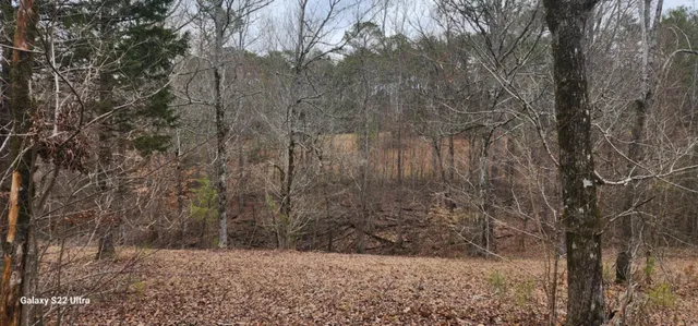 $287,000 | 19 North Highway 411, Crandall, GA 30711