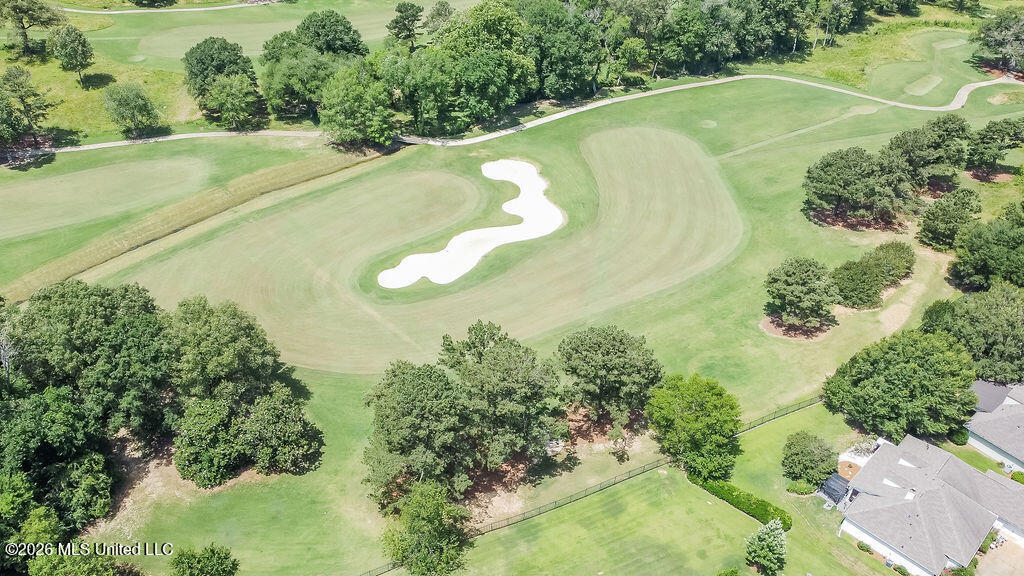 405 Eastpointe Cove Madison, MS 39110 - Photo 10 of 39 DJI_0828