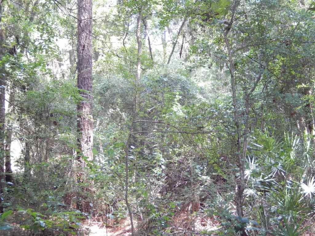 10015 Foxrun Road Pensacola, FL 32514 - Photo 36 of 43