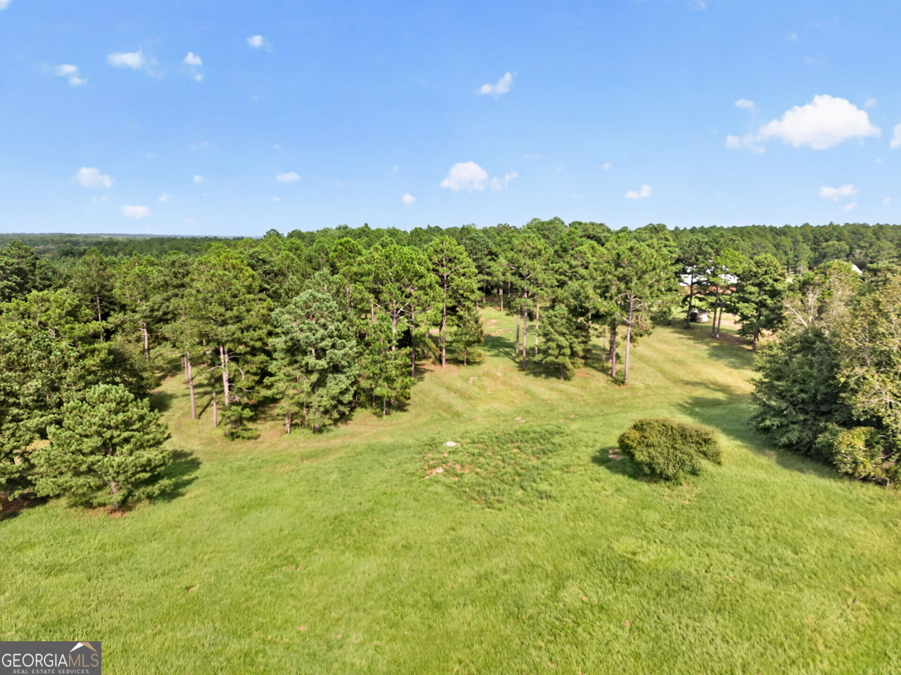 561 Chula Brookfield Road Chula, GA 31733 - Photo 61 of 63 Gallery Image 61