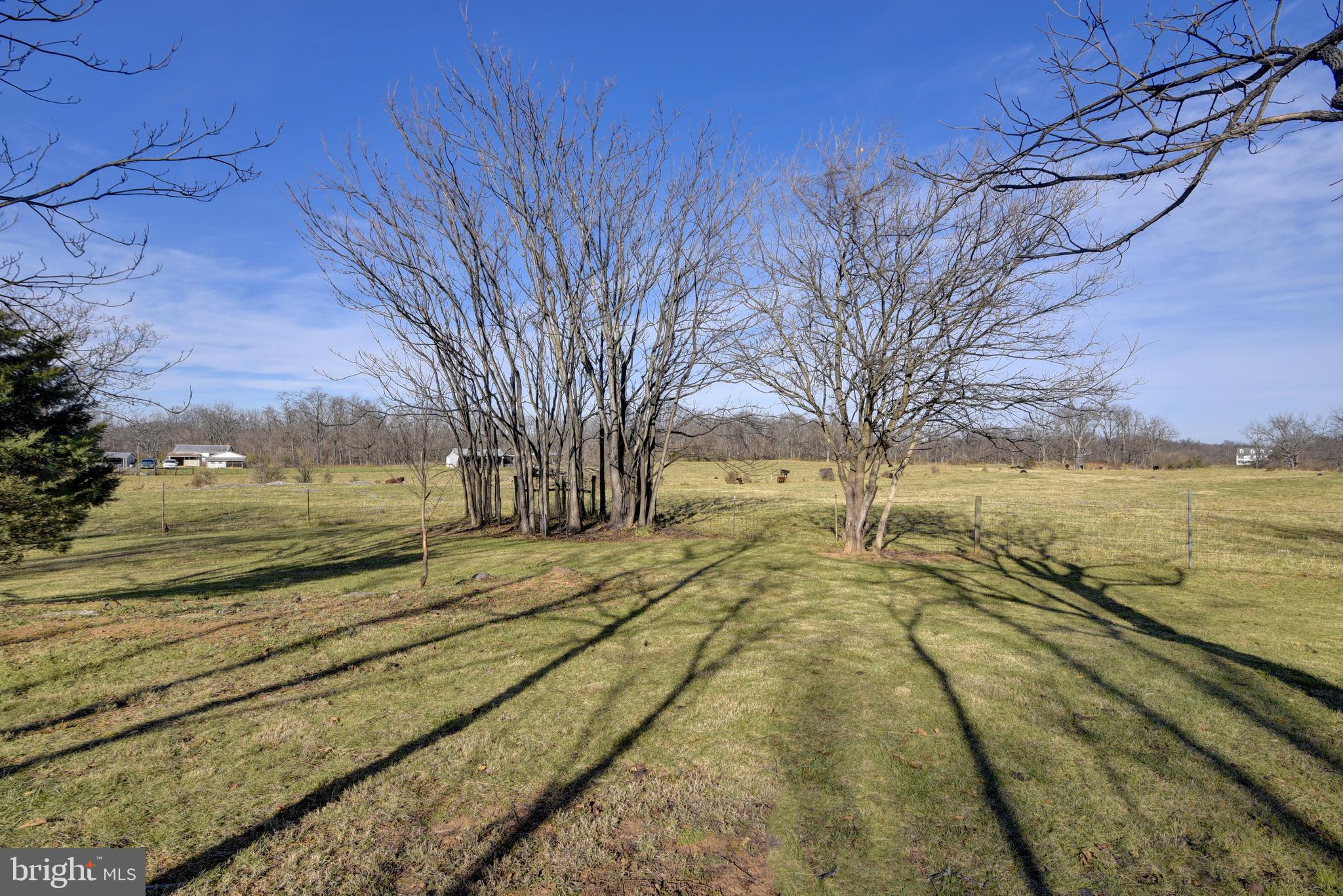 1290 Senseny Road Berryville, VA 22611 - Photo 29 of 43 Gallery Image 29