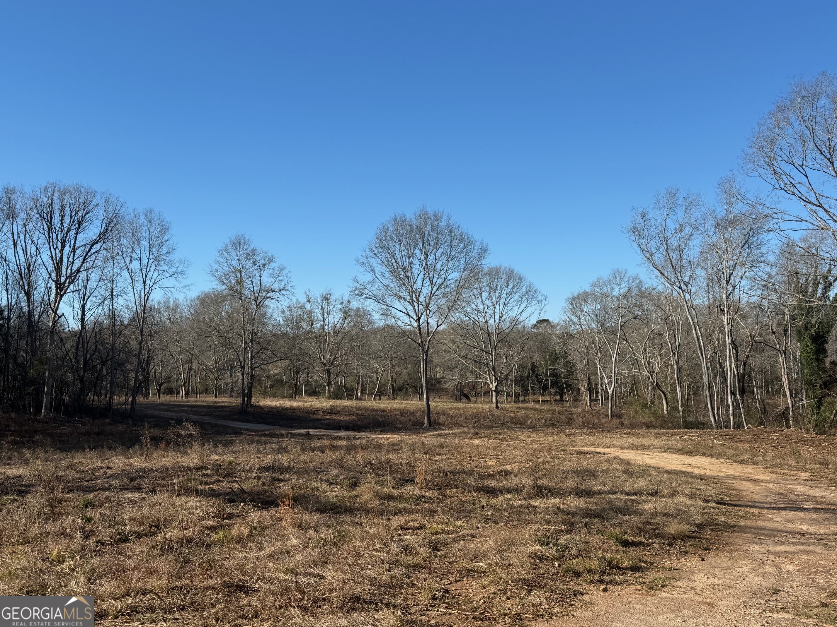 Parcel 2 Yatesville Road Barnesville, GA 30204 - Photo 12 of 29 a view of backyard with green space