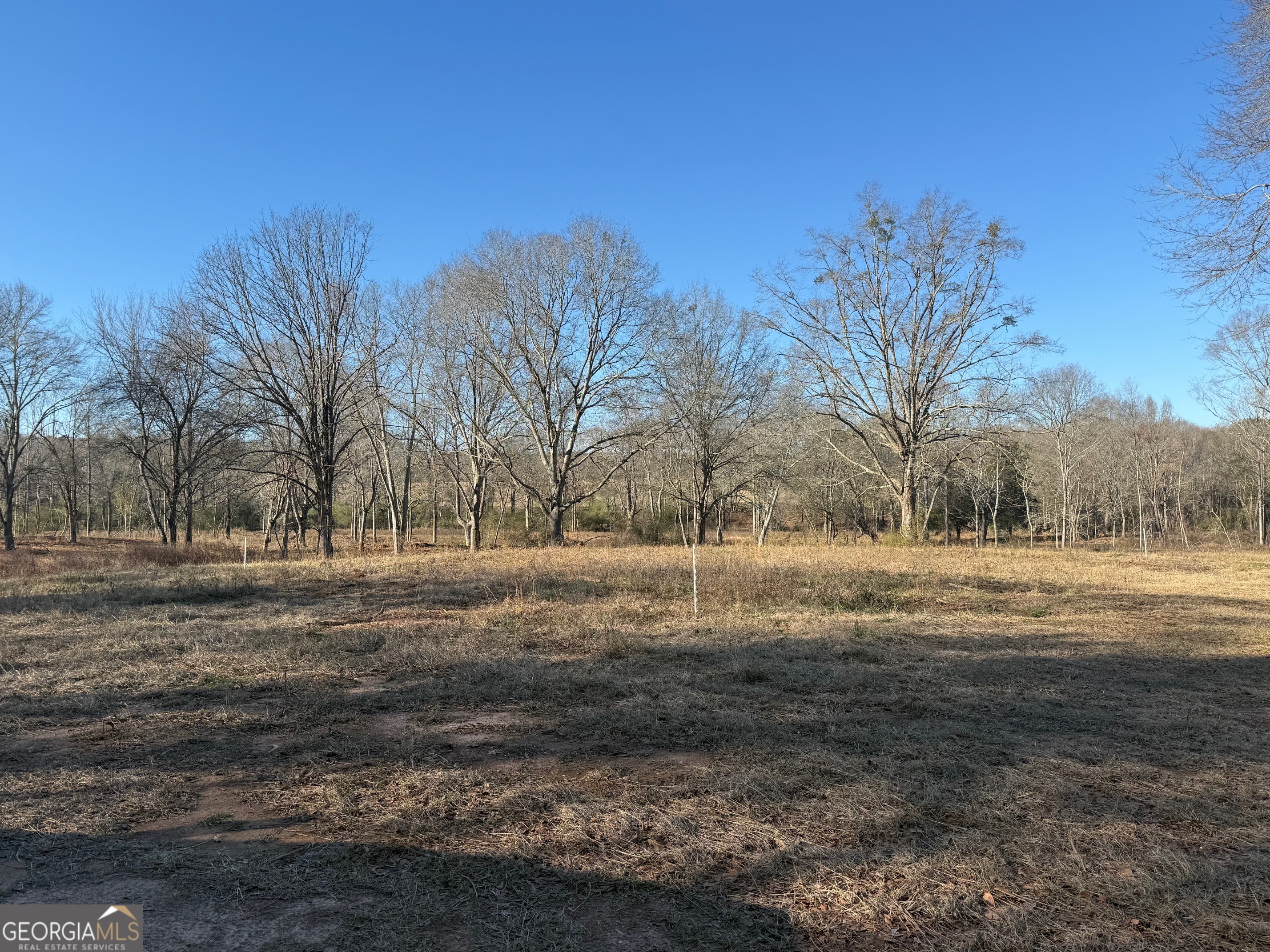 Parcel 2 Yatesville Road Barnesville, GA 30204 - Photo 13 of 29 a view of dirt yard with a lake view