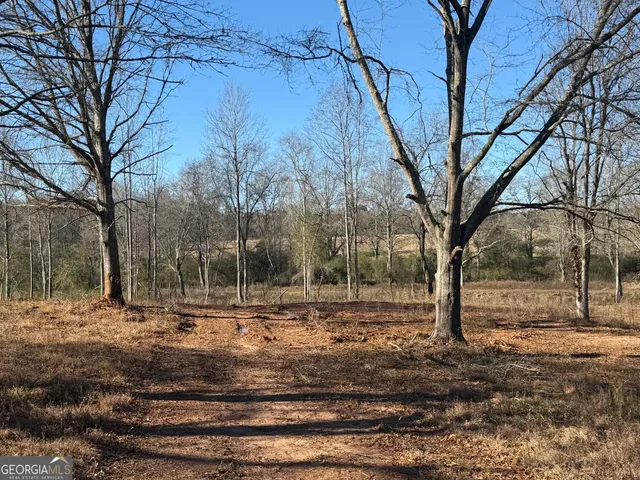 a view of road with trees