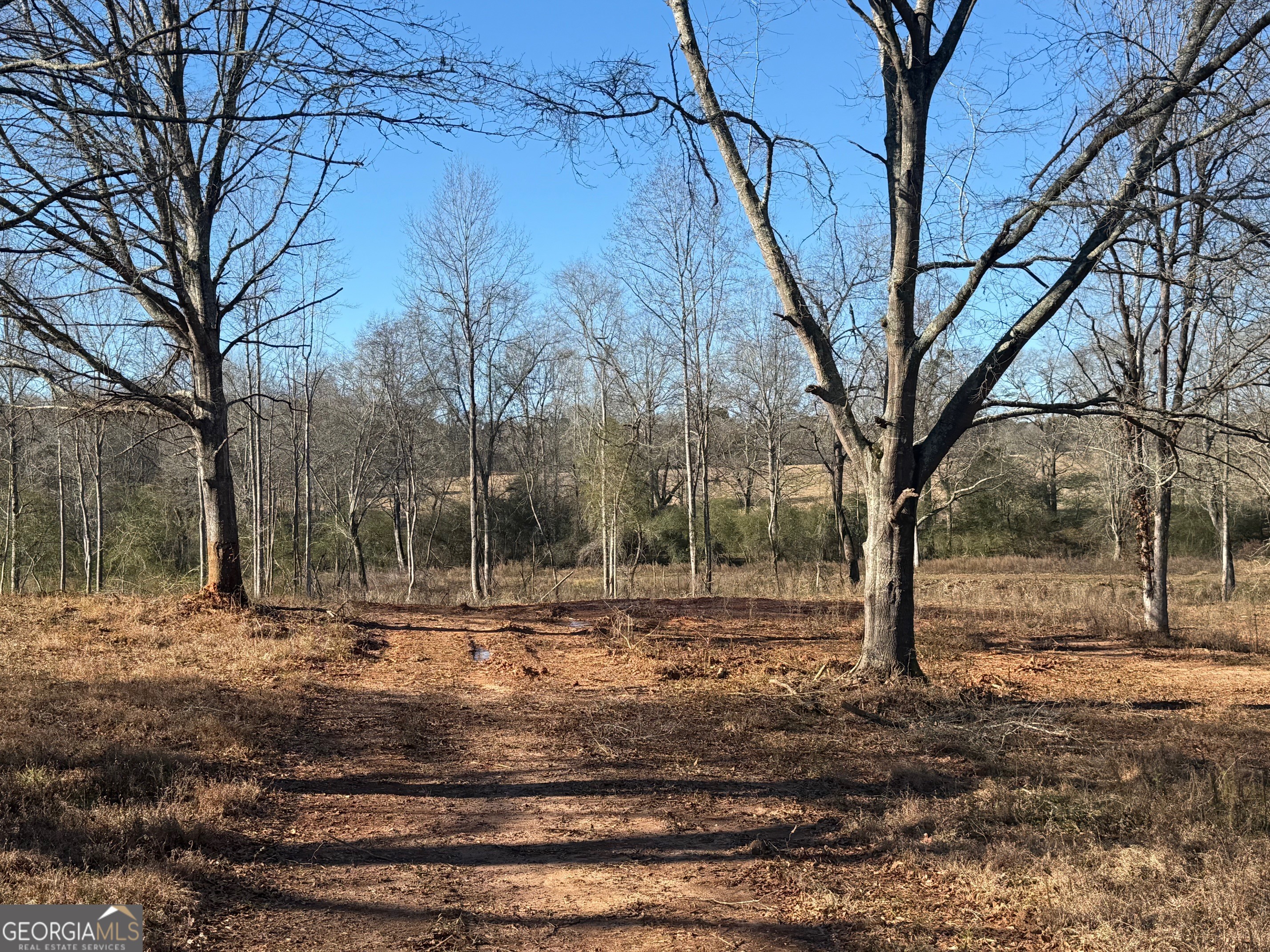 Parcel 2 Yatesville Road Barnesville, GA 30204 - Photo 15 of 29 a backyard of a house with trees