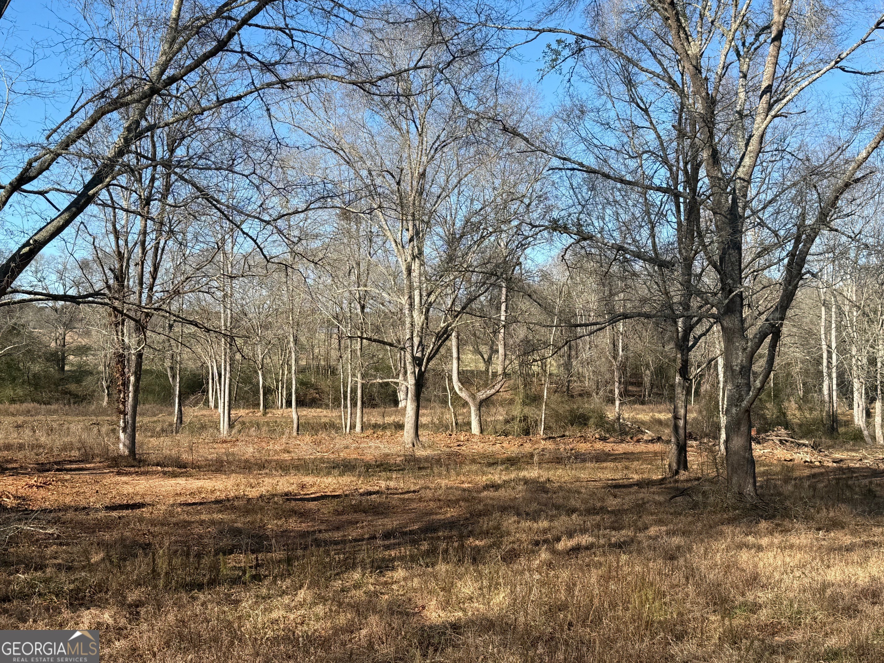 Parcel 2 Yatesville Road Barnesville, GA 30204 - Photo 16 of 29 a view of road with trees