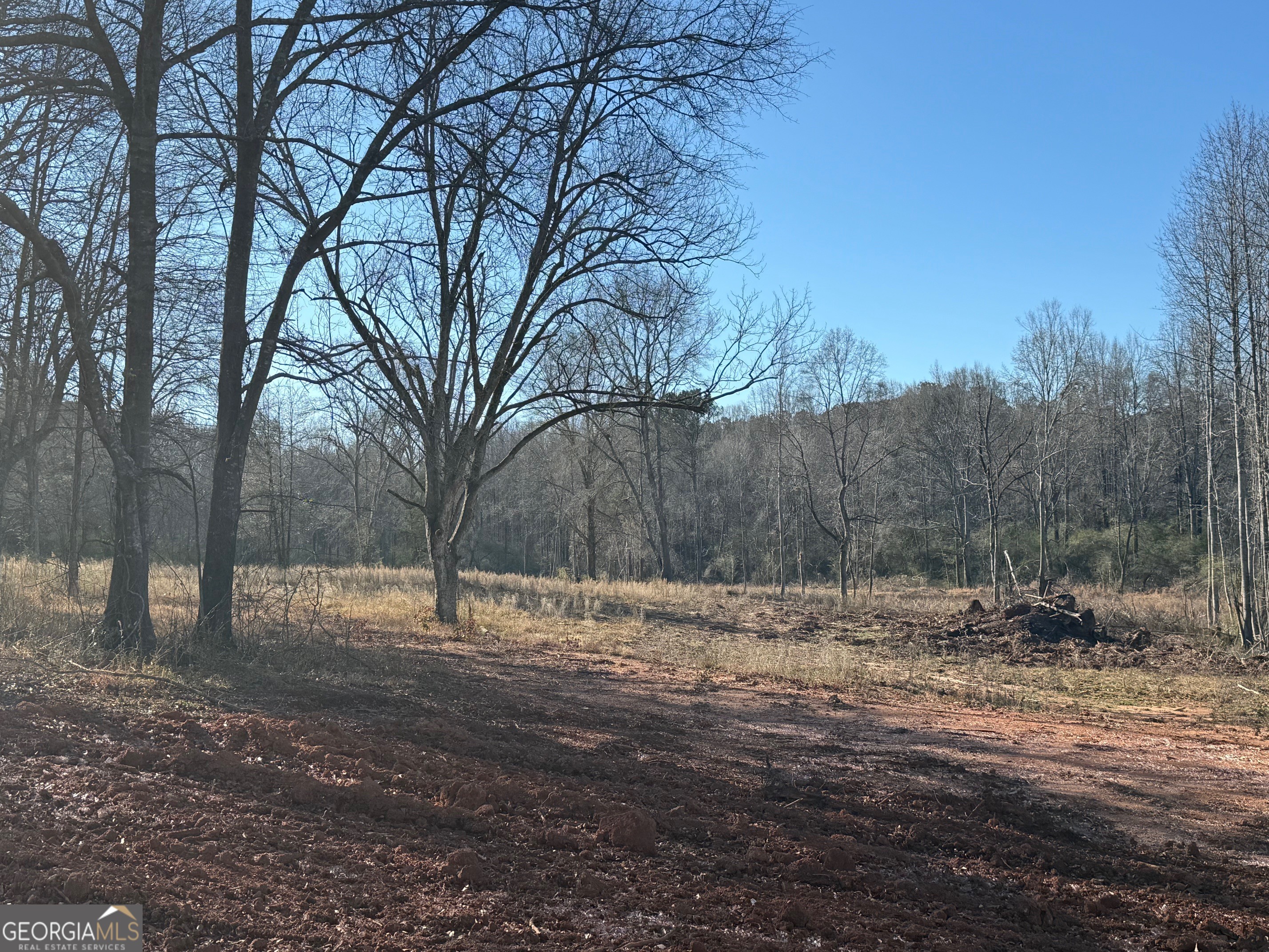 Parcel 2 Yatesville Road Barnesville, GA 30204 - Photo 17 of 29 a backyard of a house with trees