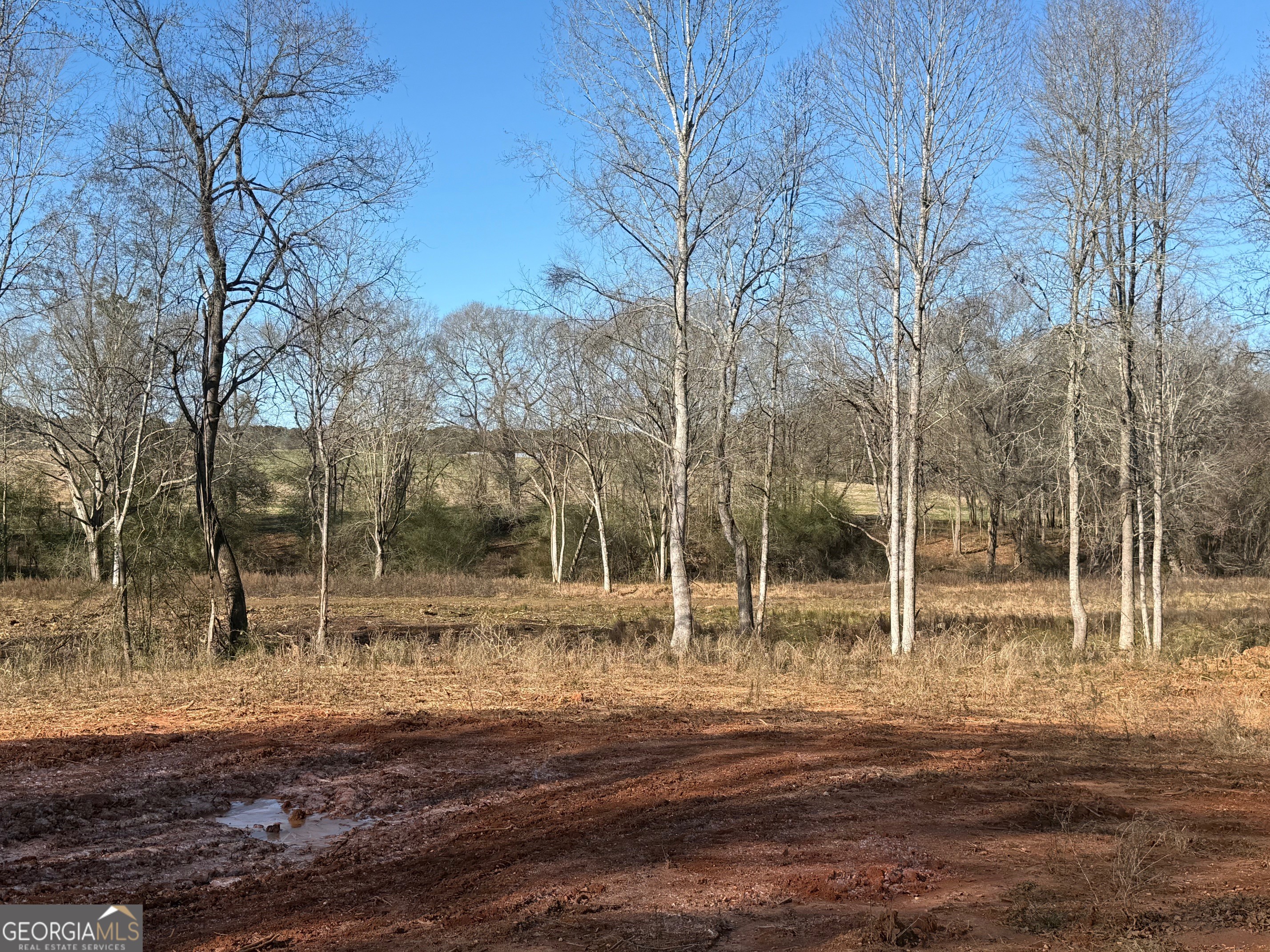 Parcel 2 Yatesville Road Barnesville, GA 30204 - Photo 18 of 29 a backyard of a house with lots of green space