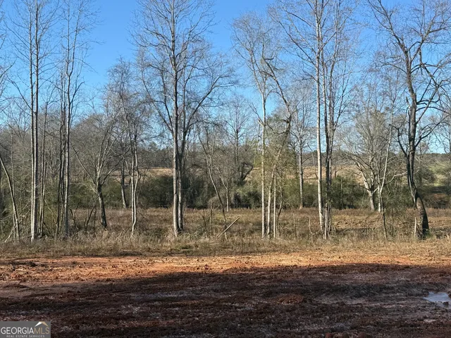 a view of empty yard with trees