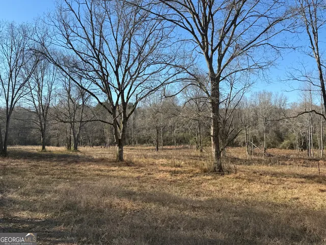 a view of dirt yard with a large tree