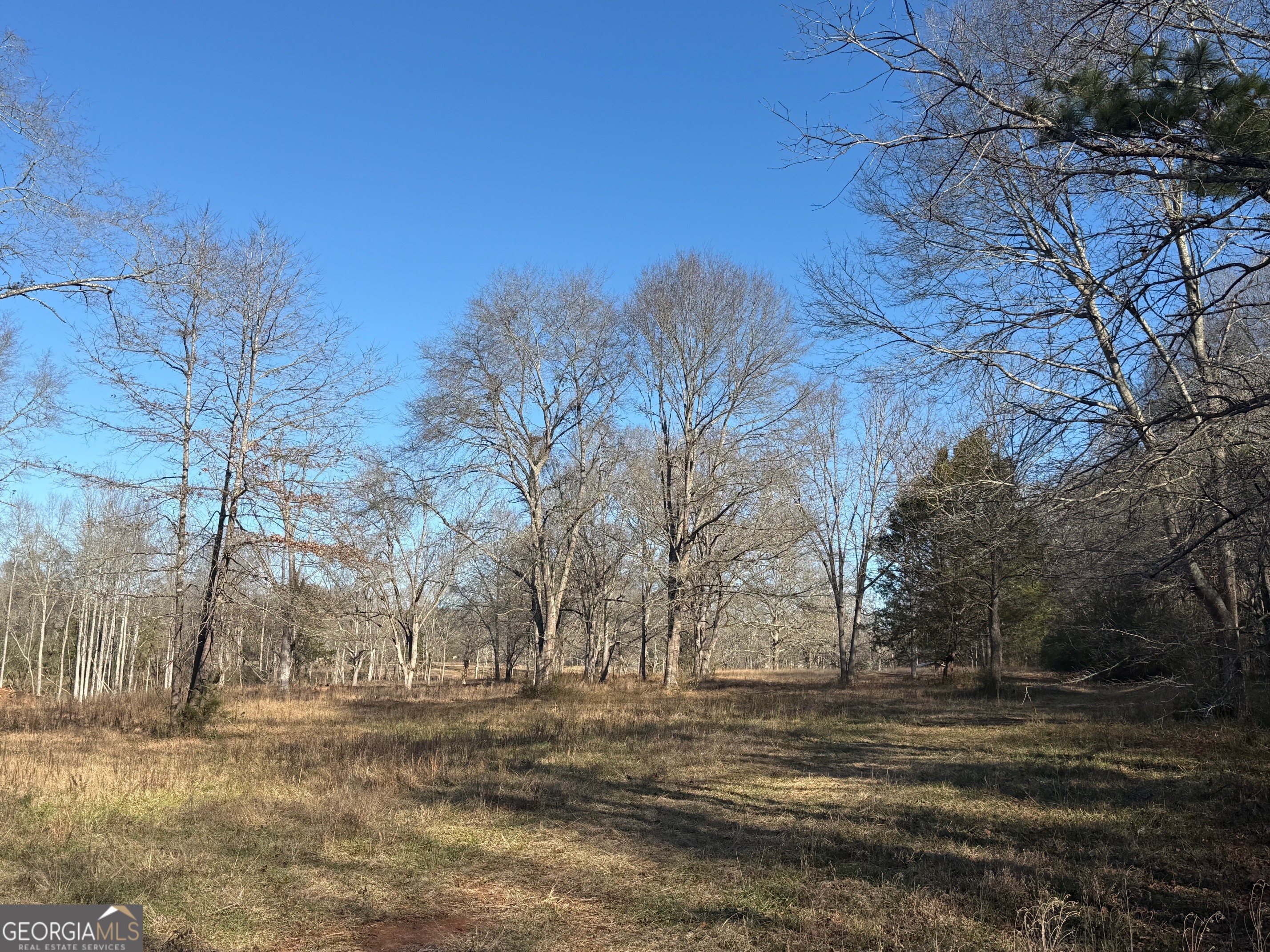 Parcel 2 Yatesville Road Barnesville, GA 30204 - Photo 21 of 29 a view of dirt yard with a large tree