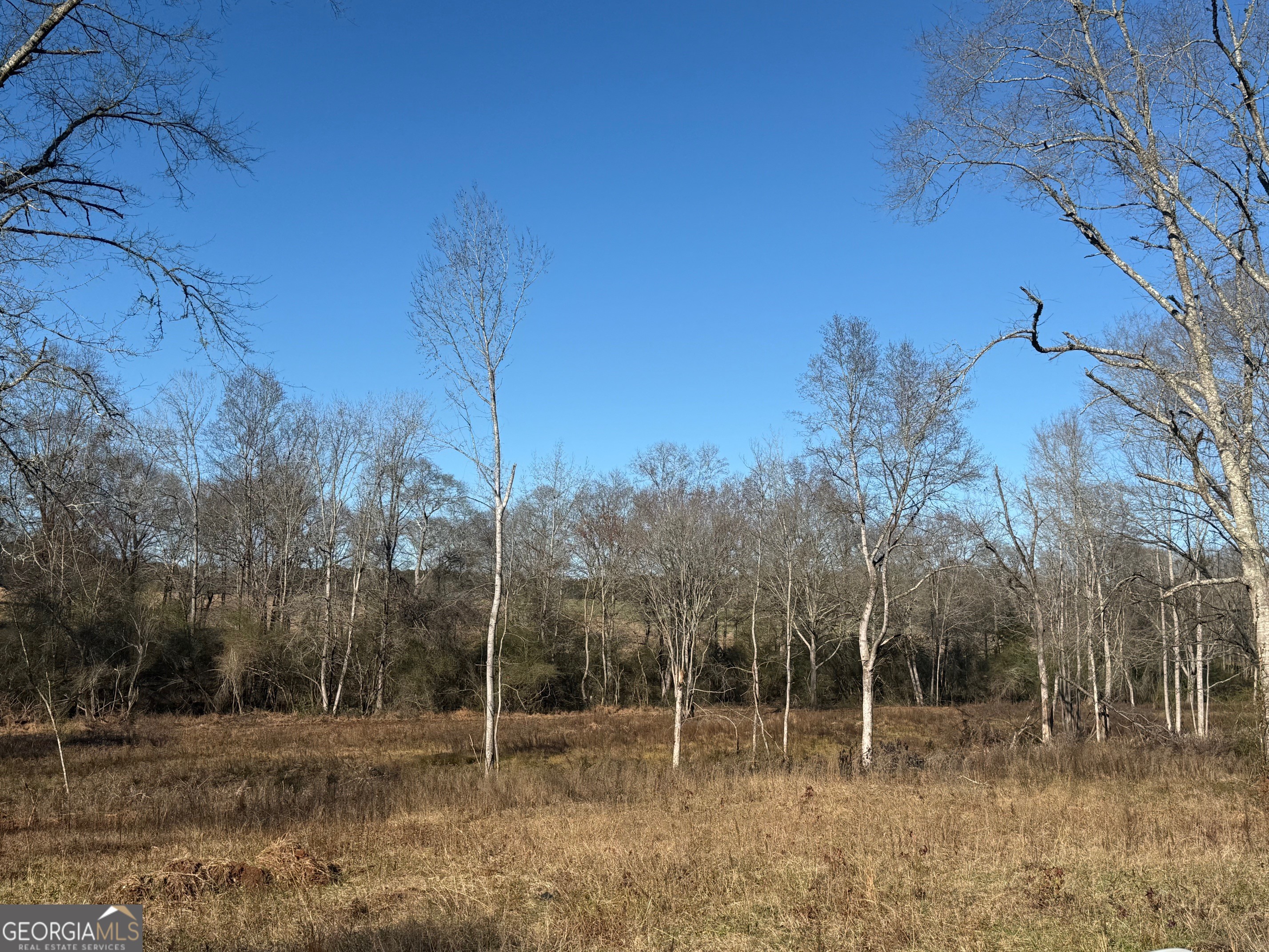 Parcel 2 Yatesville Road Barnesville, GA 30204 - Photo 22 of 29 a backyard of a house with lots of green space