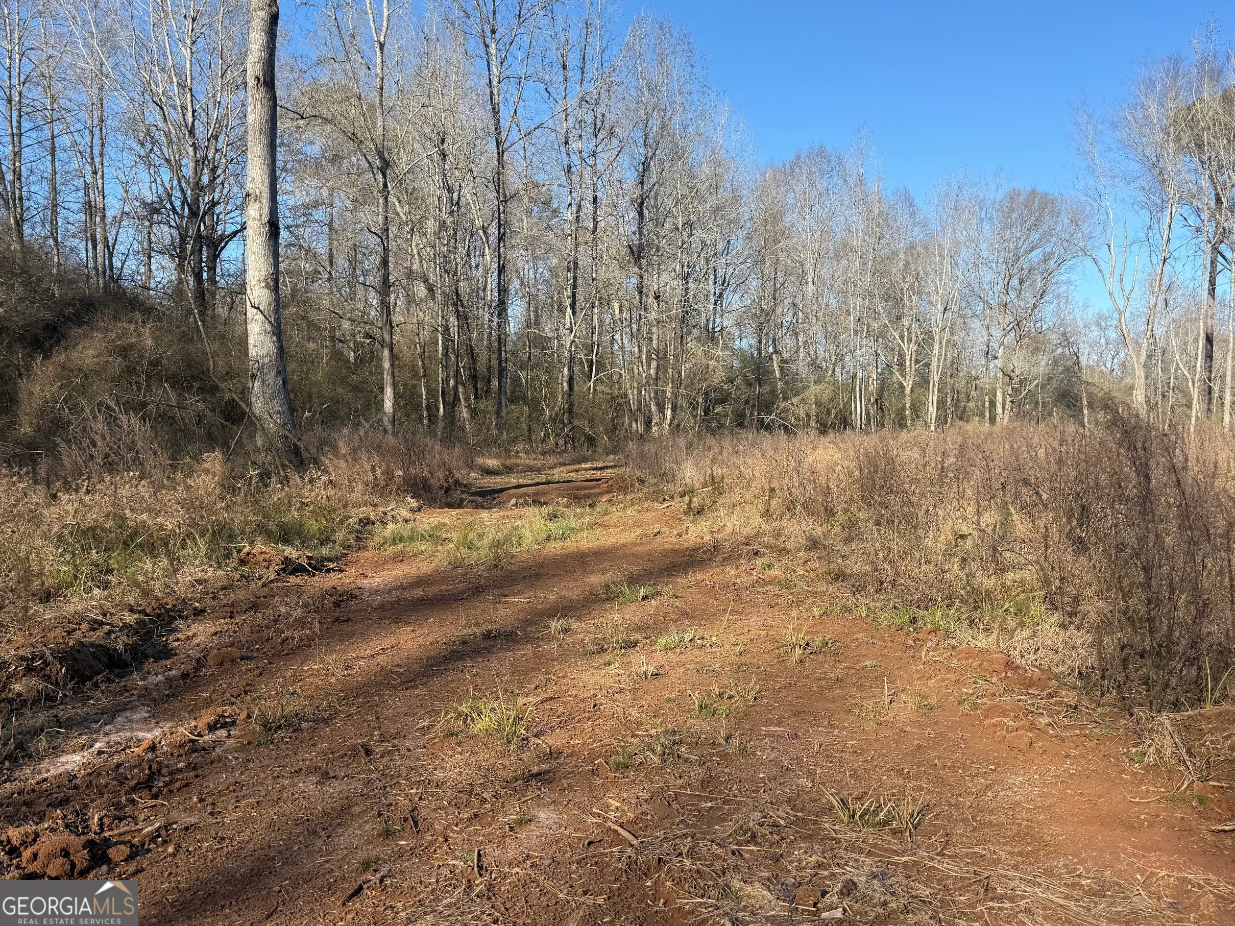 Parcel 2 Yatesville Road Barnesville, GA 30204 - Photo 23 of 29 a view of a yard with trees
