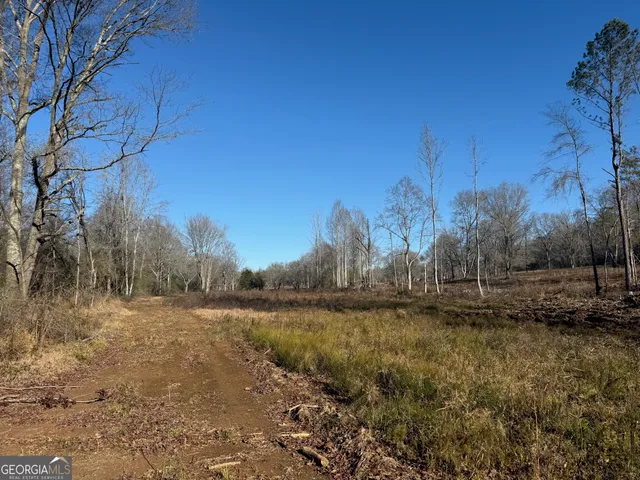 a view of a yard with a tree