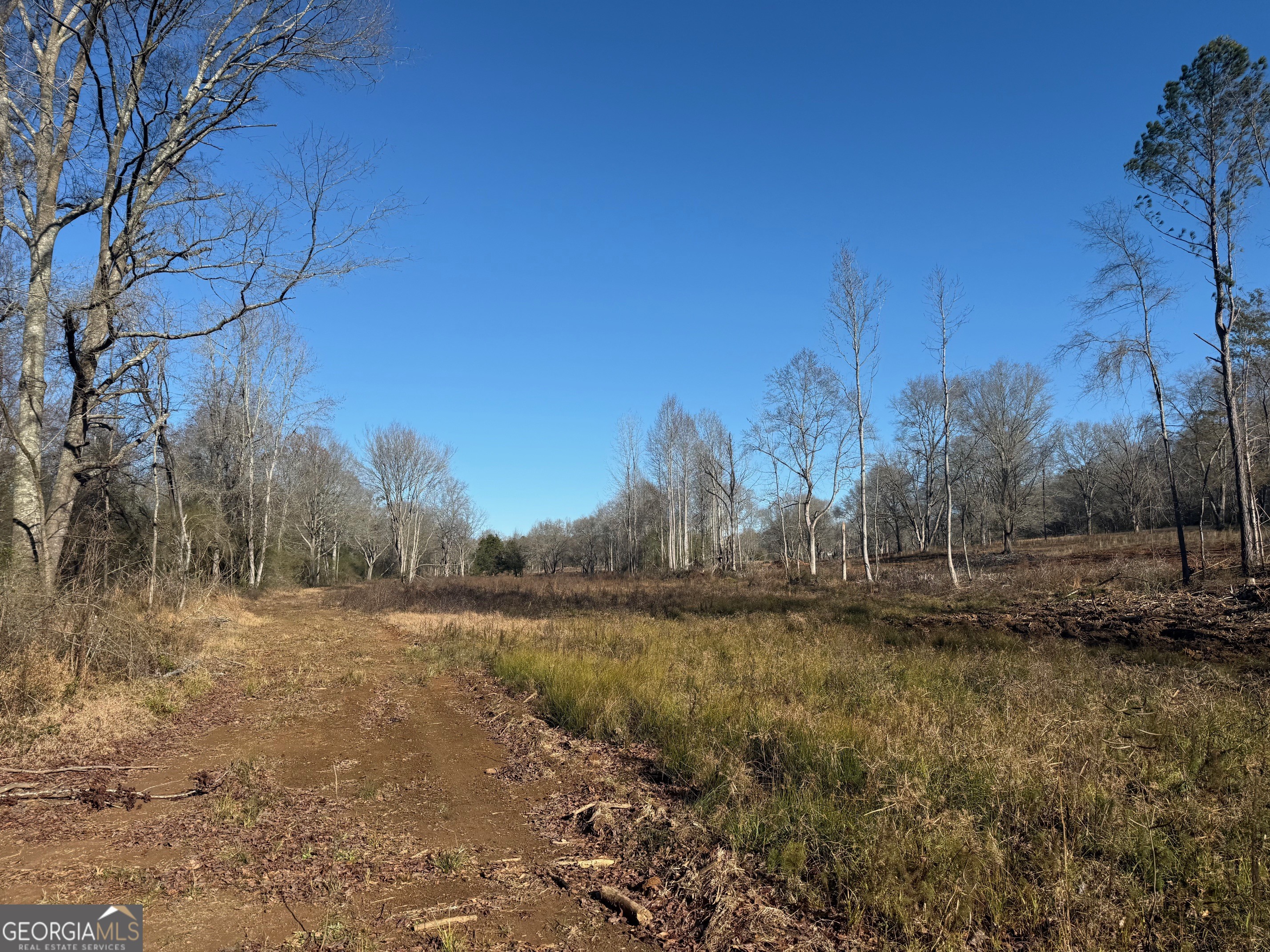 Parcel 2 Yatesville Road Barnesville, GA 30204 - Photo 24 of 29 a view of a yard with a tree