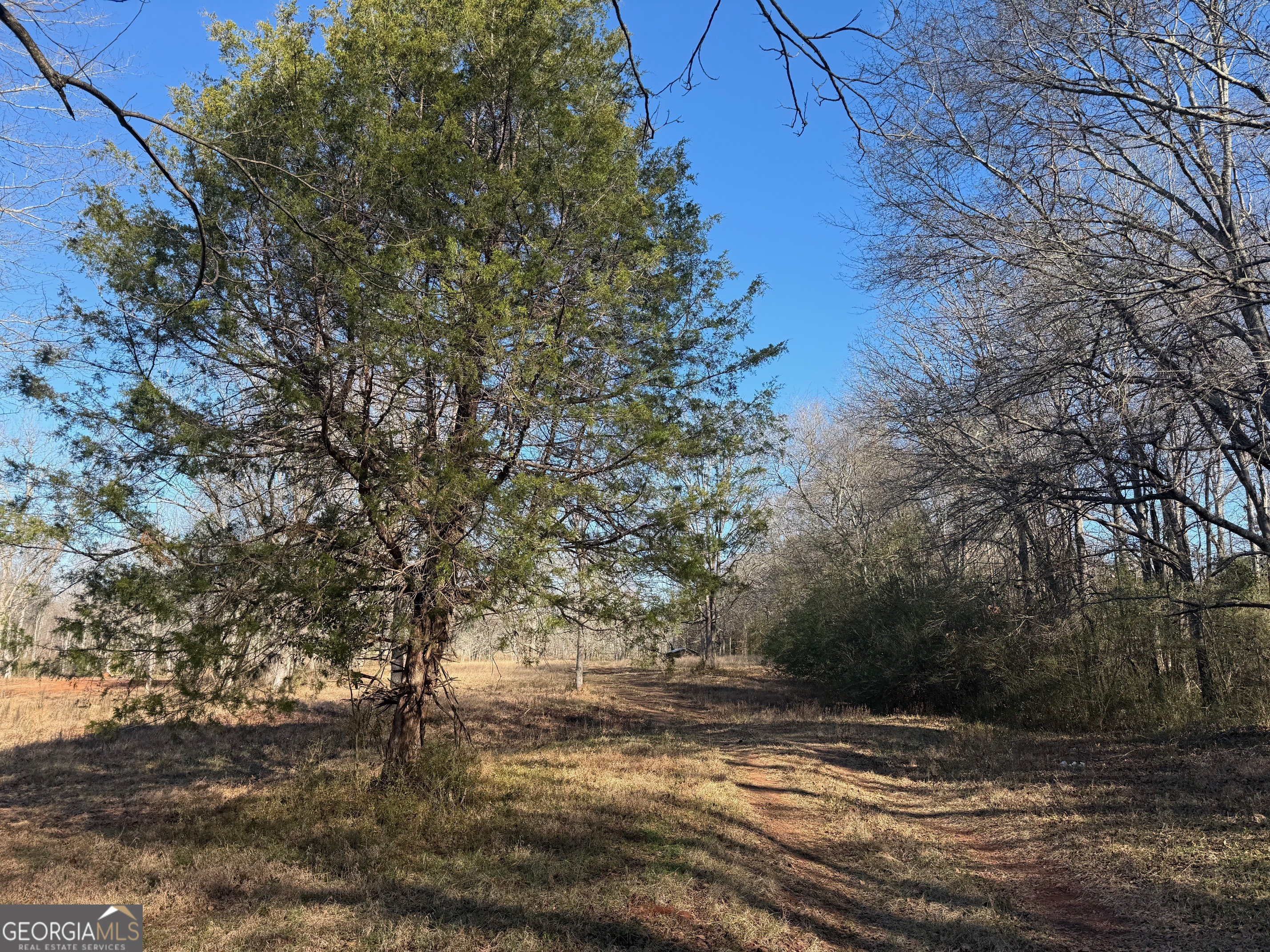Parcel 2 Yatesville Road Barnesville, GA 30204 - Photo 25 of 29 a view of a yard with a tree