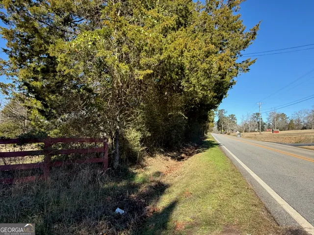 a view of swimming pool with large trees and plants