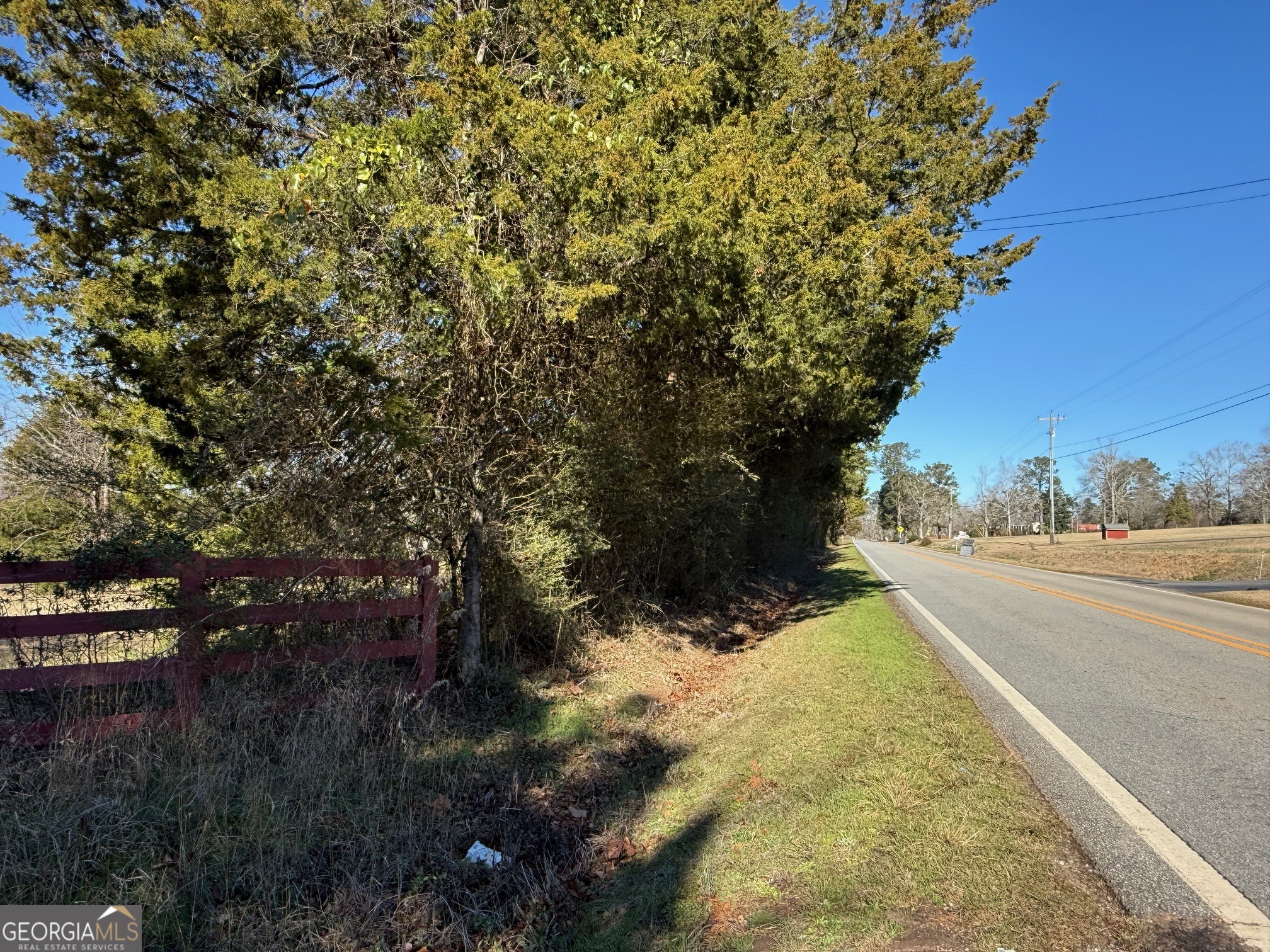 Parcel 2 Yatesville Road Barnesville, GA 30204 - Photo 28 of 29 a view of a yard with plants and trees