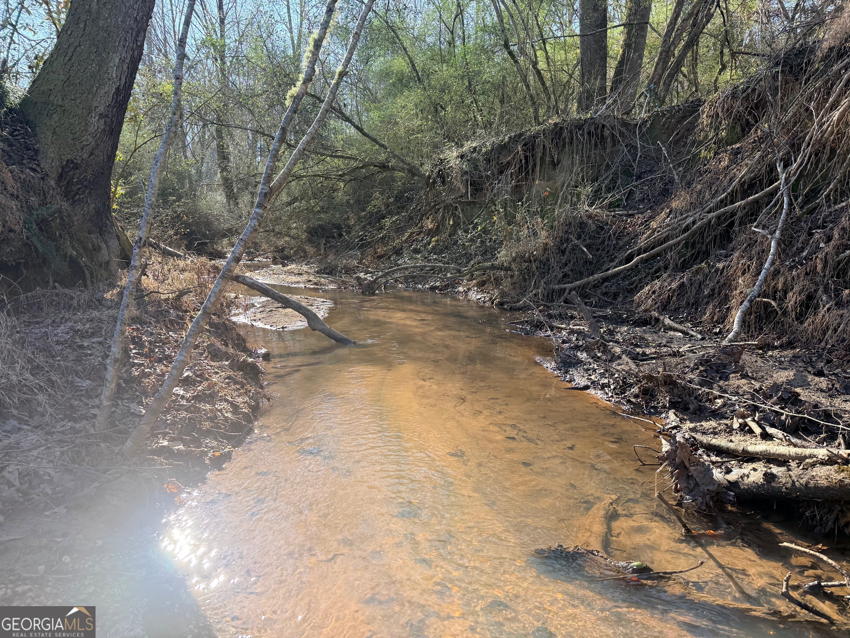 Parcel 2 Yatesville Road Barnesville, GA 30204 - Photo 3 of 29 a view of yard with trees