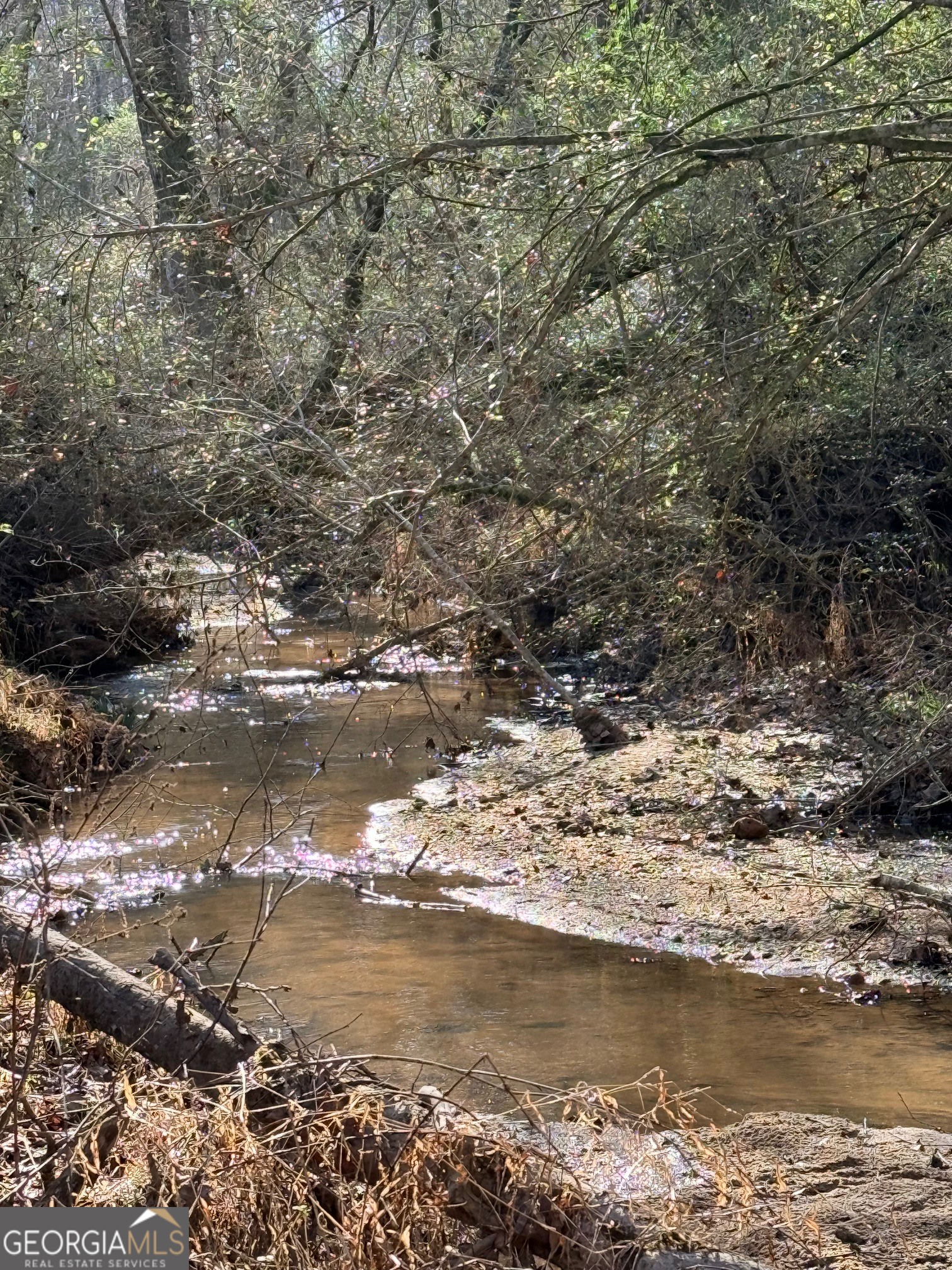 Parcel 2 Yatesville Road Barnesville, GA 30204 - Photo 4 of 29