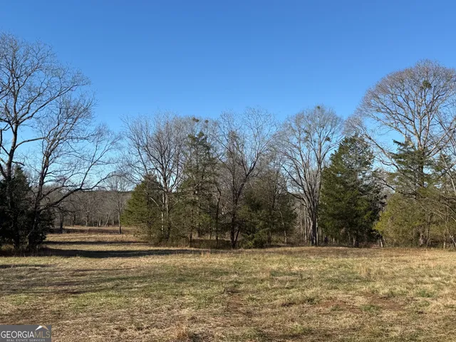 a view of dirt yard with large trees