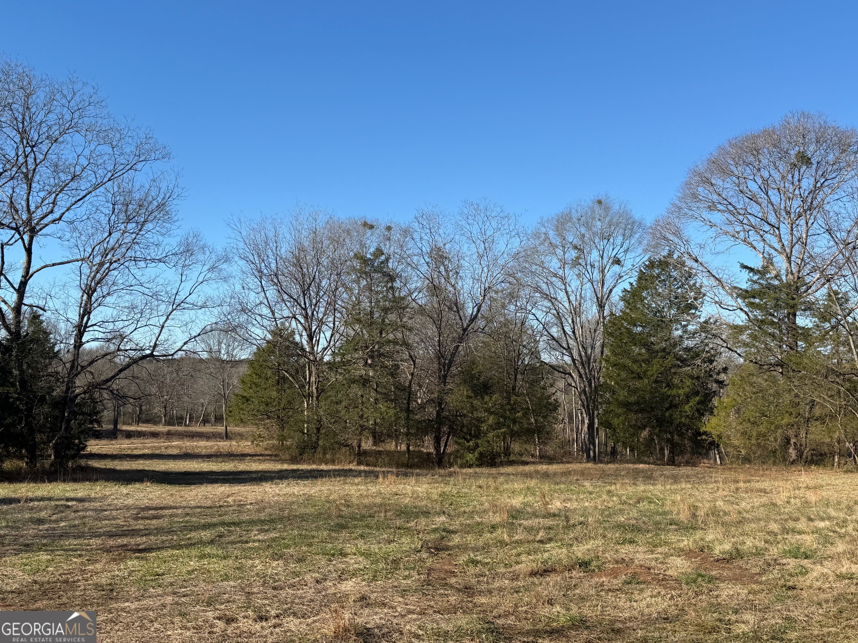 Parcel 2 Yatesville Road Barnesville, GA 30204 - Photo 5 of 29 a view of dirt yard with large trees