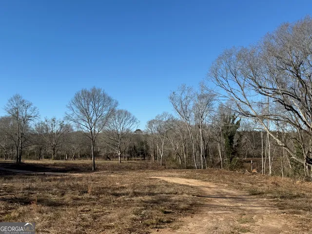 a view of dirt yard with a large tree