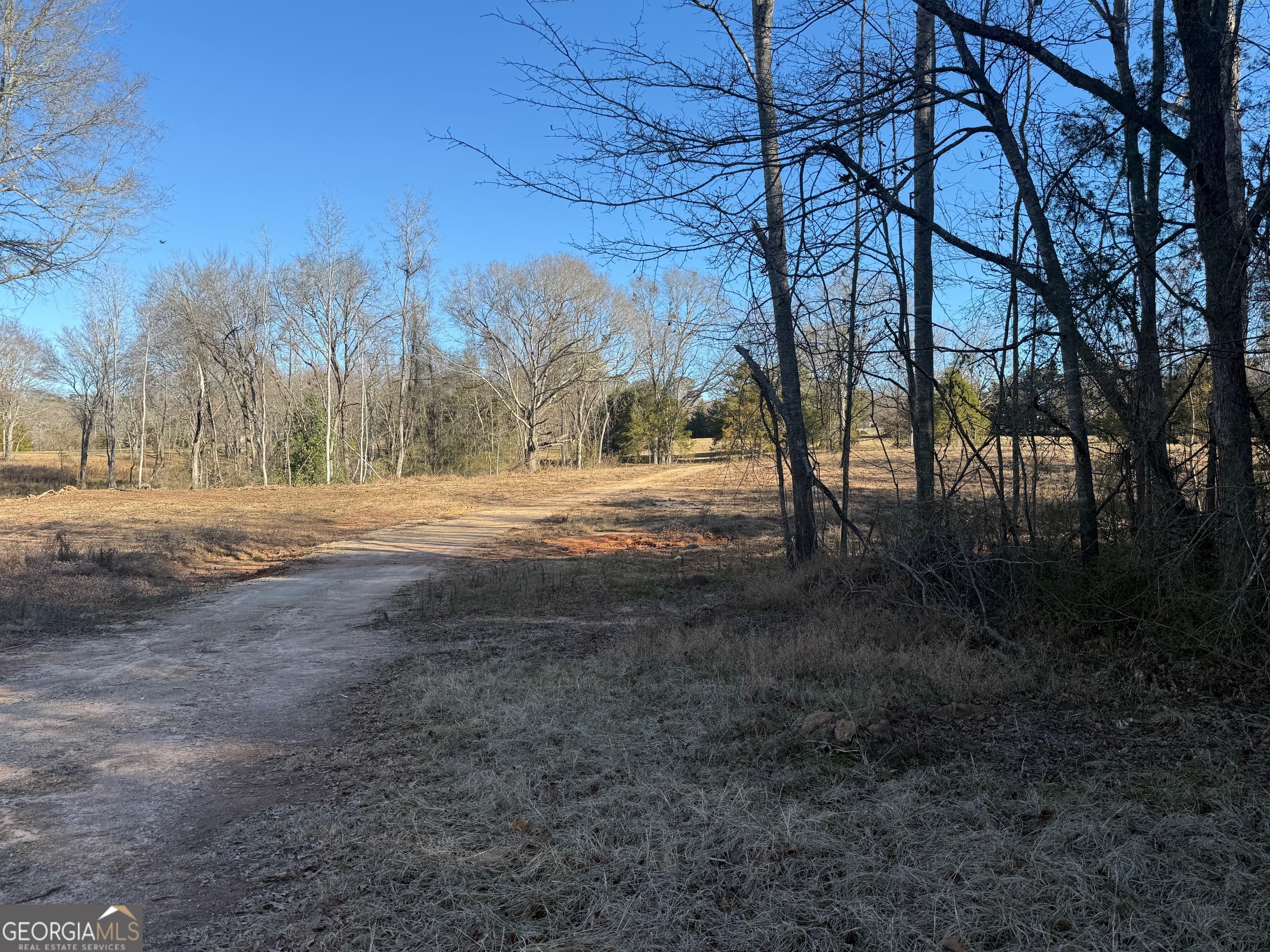 Parcel 2 Yatesville Road Barnesville, GA 30204 - Photo 7 of 29 a view of dirt yard with a large tree
