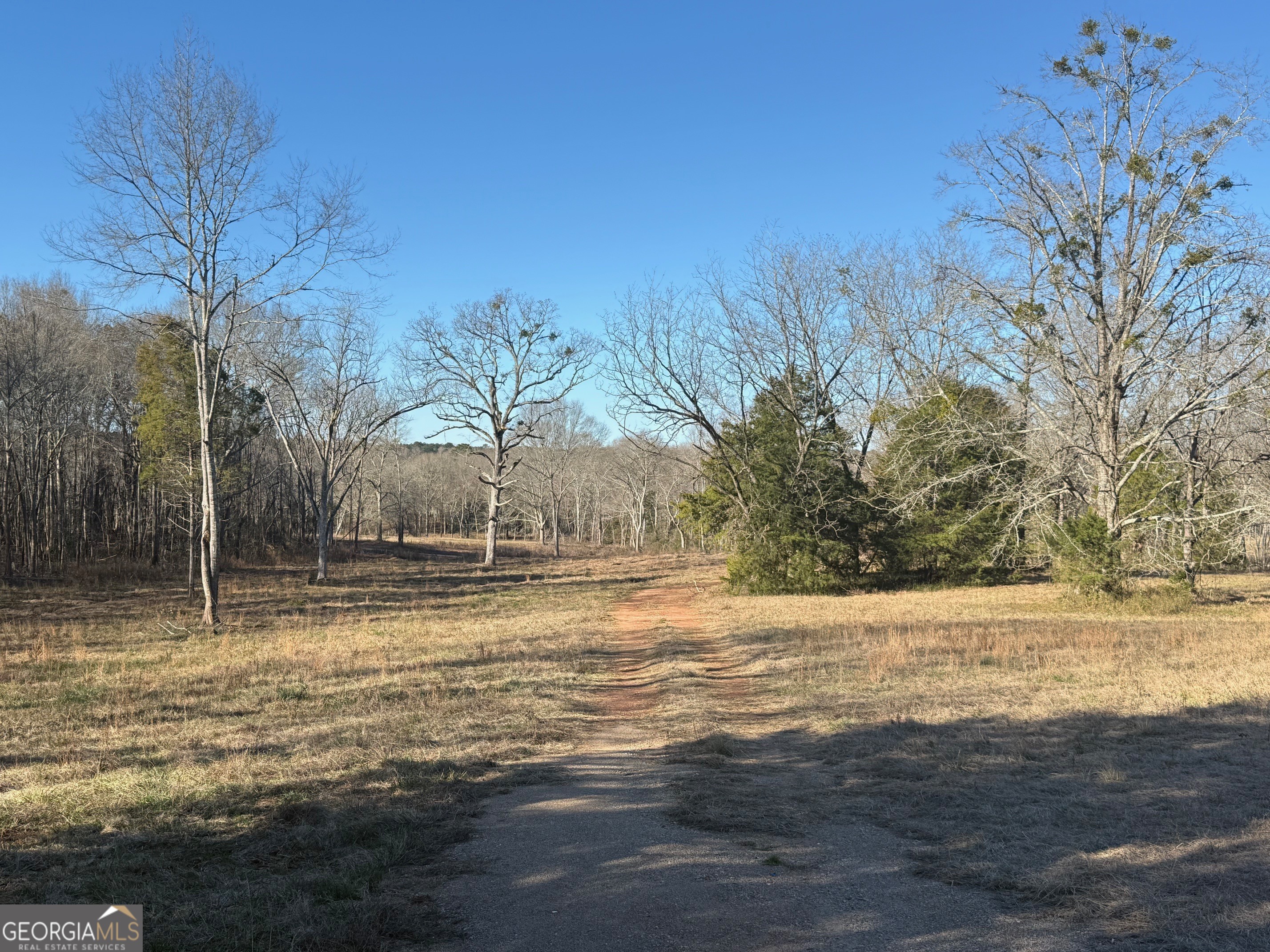 Parcel 2 Yatesville Road Barnesville, GA 30204 - Photo 10 of 29 a view of a yard with a house