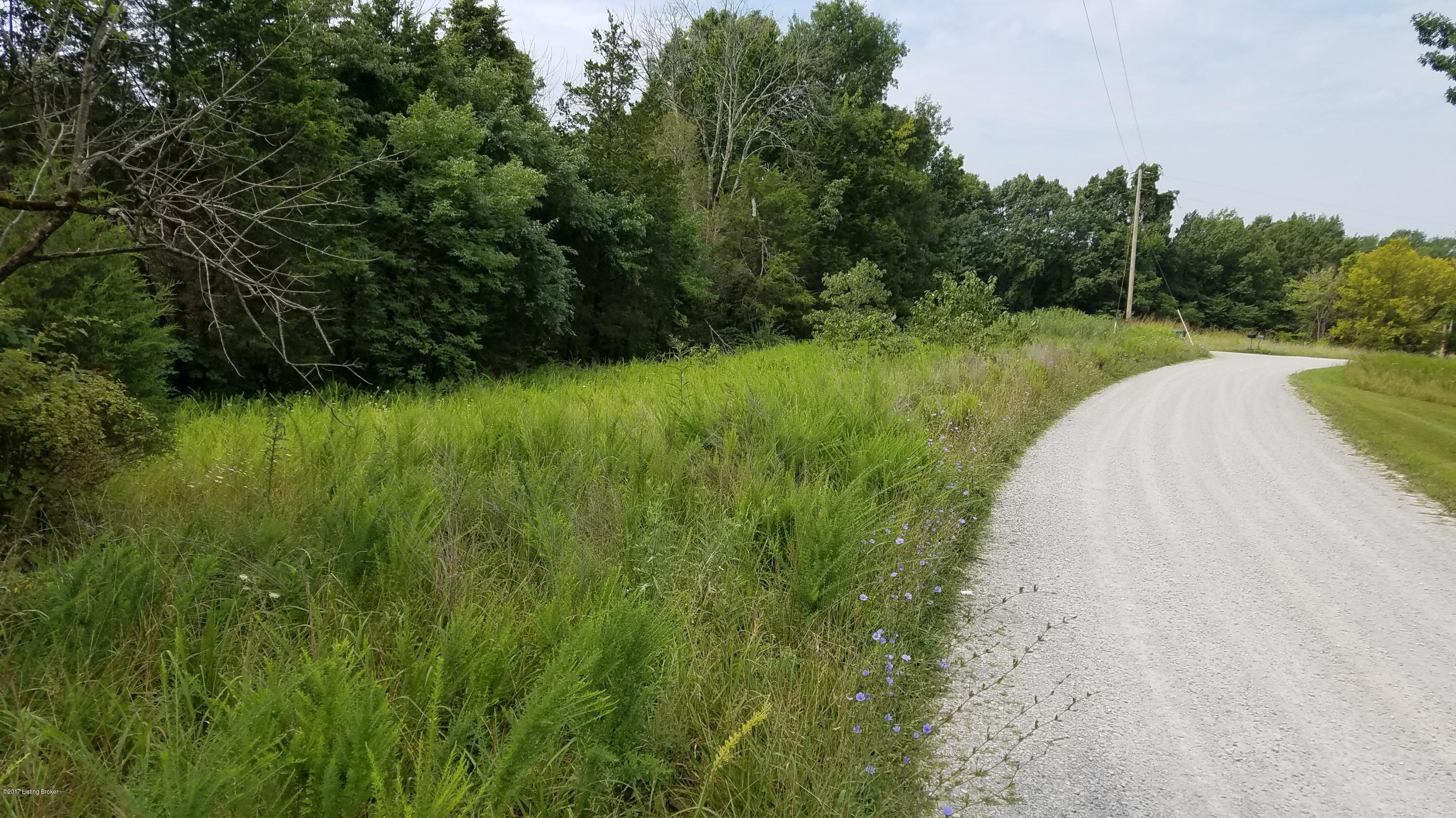 Lot 30 Hillvale Road Pendleton, KY 40055 - Photo 7 of 8 Lot 30 Organ Creek Farm - 5 acres!