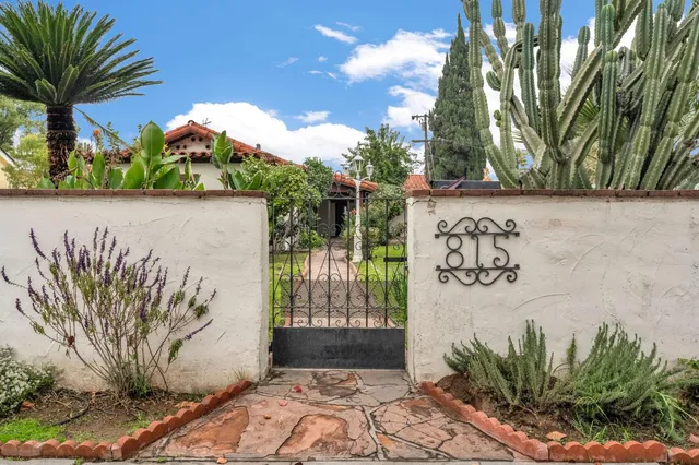 a view of a potted plant with a large tree in front of it