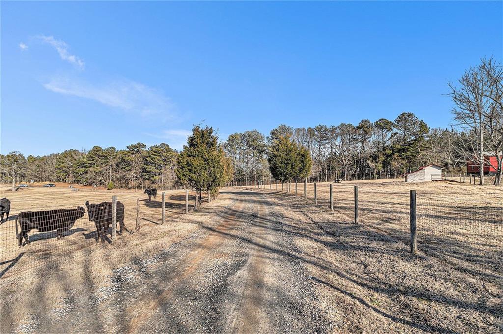 898 Harrison Mill Road Bethlehem, GA 30680 - Photo 22 of 72 a view of a yard