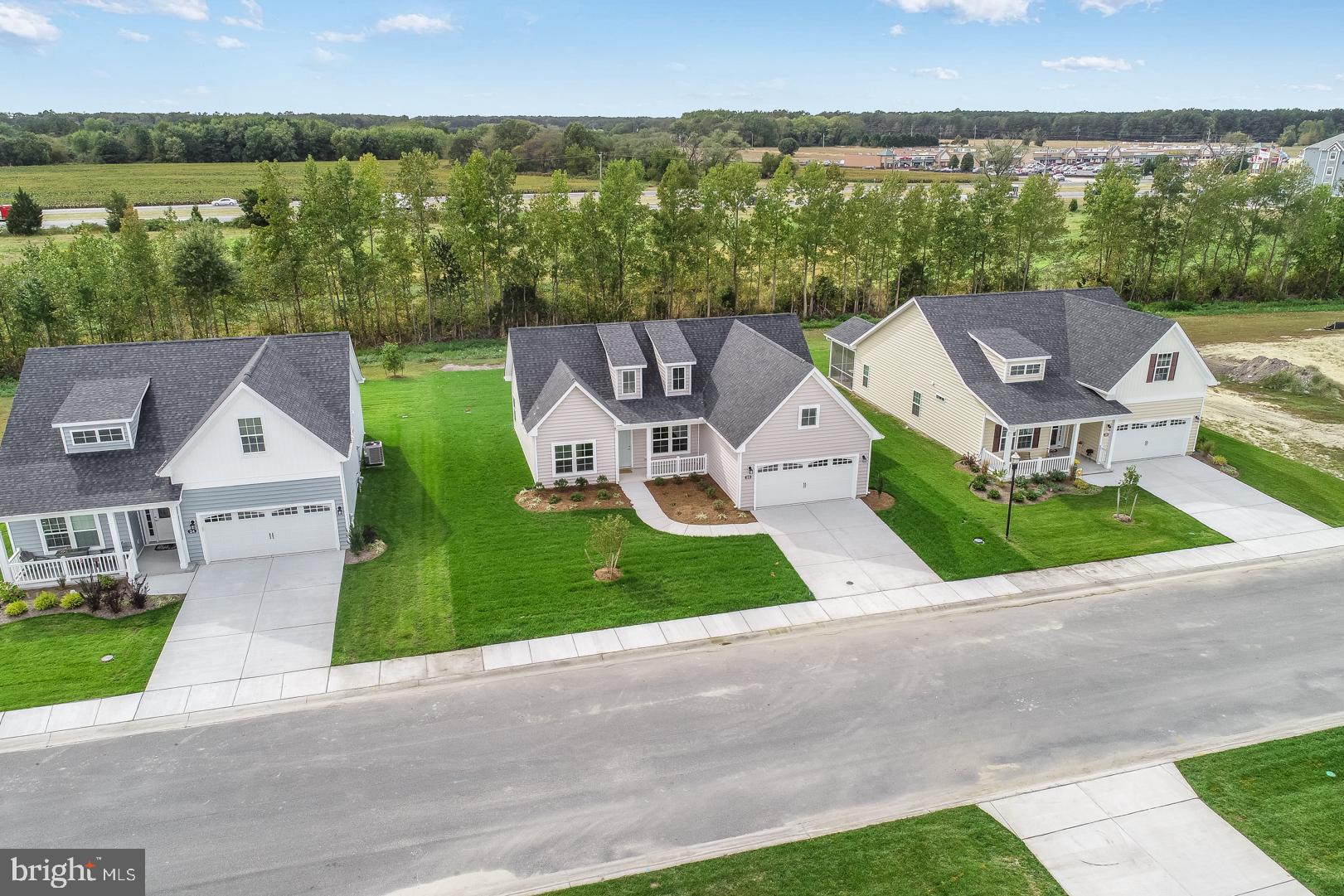 26124 Beacon Drive Ellendale, DE 19941 - Photo 2 of 32