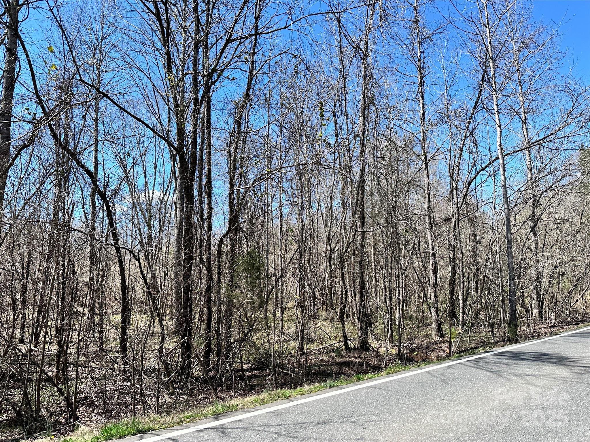 0 Billy Howey Road Waxhaw, NC 28173 - Photo 2 of 5