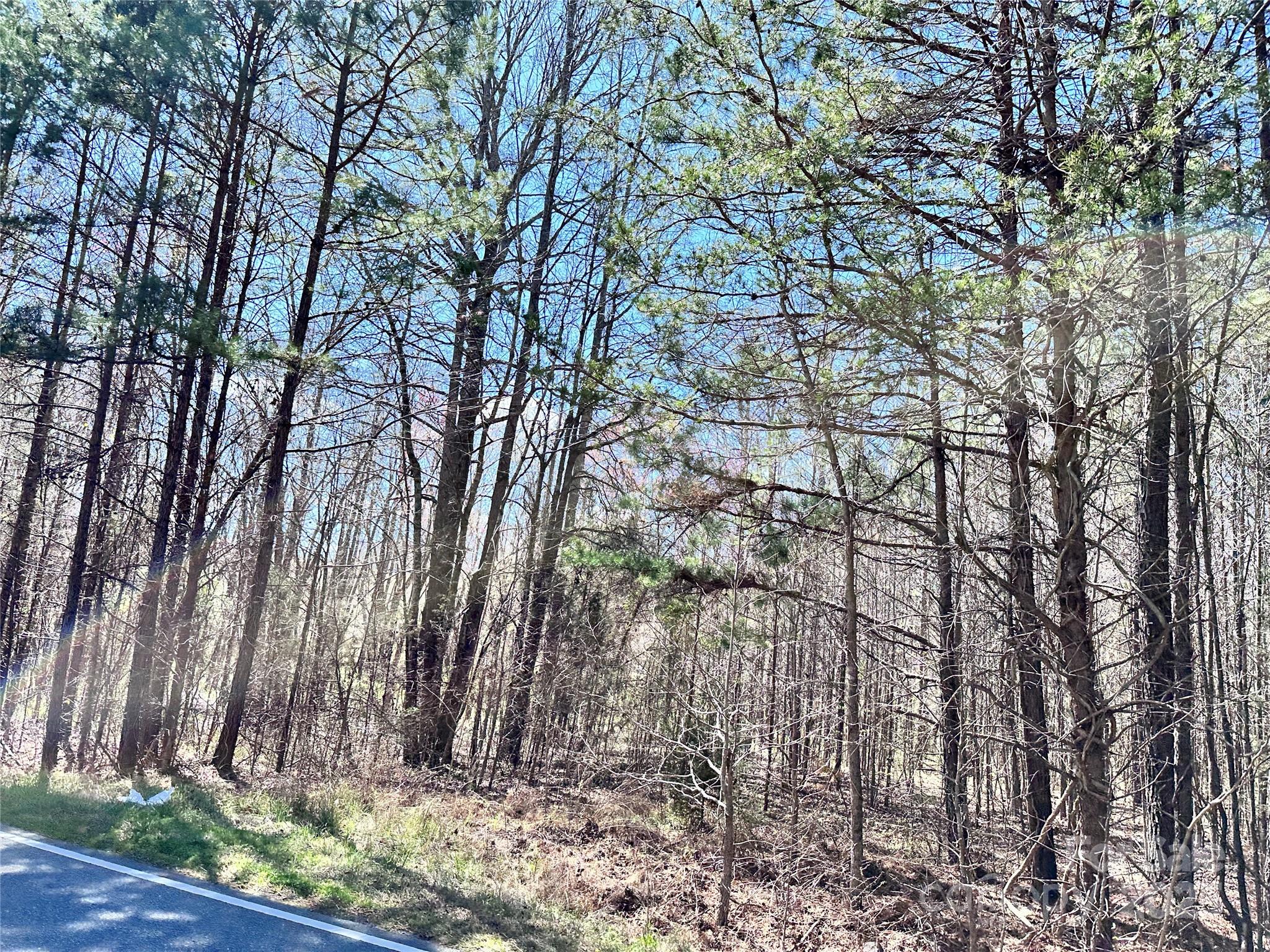 0 Billy Howey Road Waxhaw, NC 28173 - Photo 4 of 5