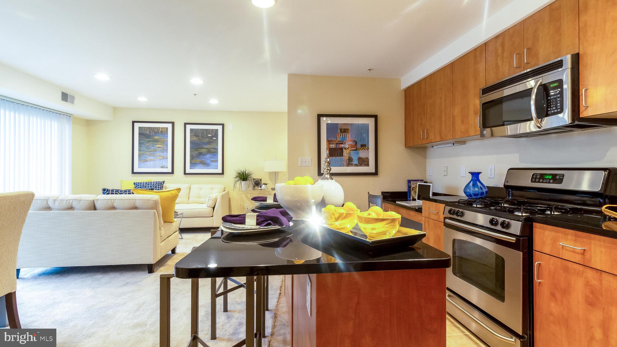 1006 Primrose Road, Unit 102 Annapolis, MD 21403 - Photo 5 of 48 Gallery Image 5