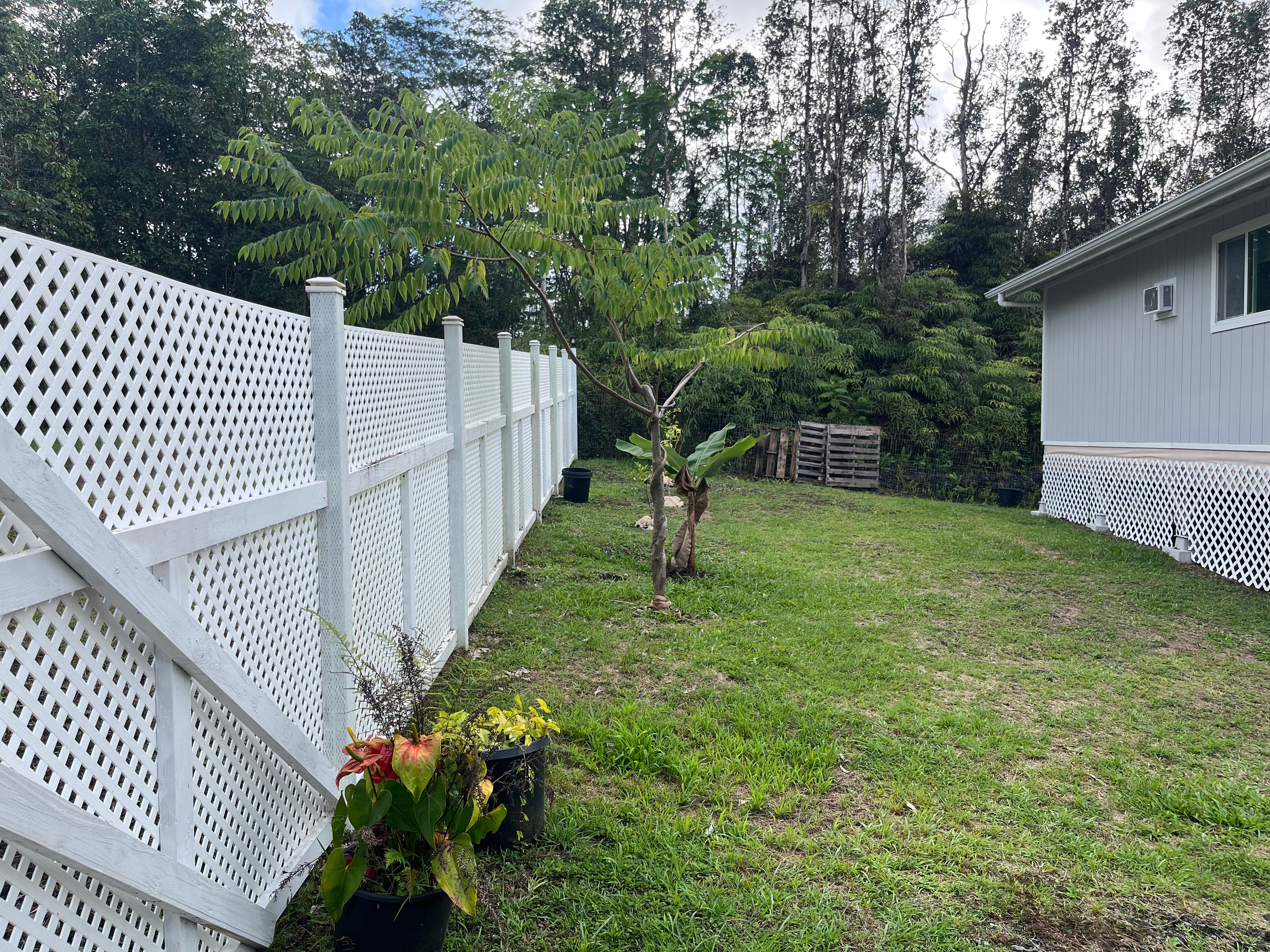 14-3475 Tutu Lane Pahoa, HI 96778 - Photo 22 of 26 a view of a backyard