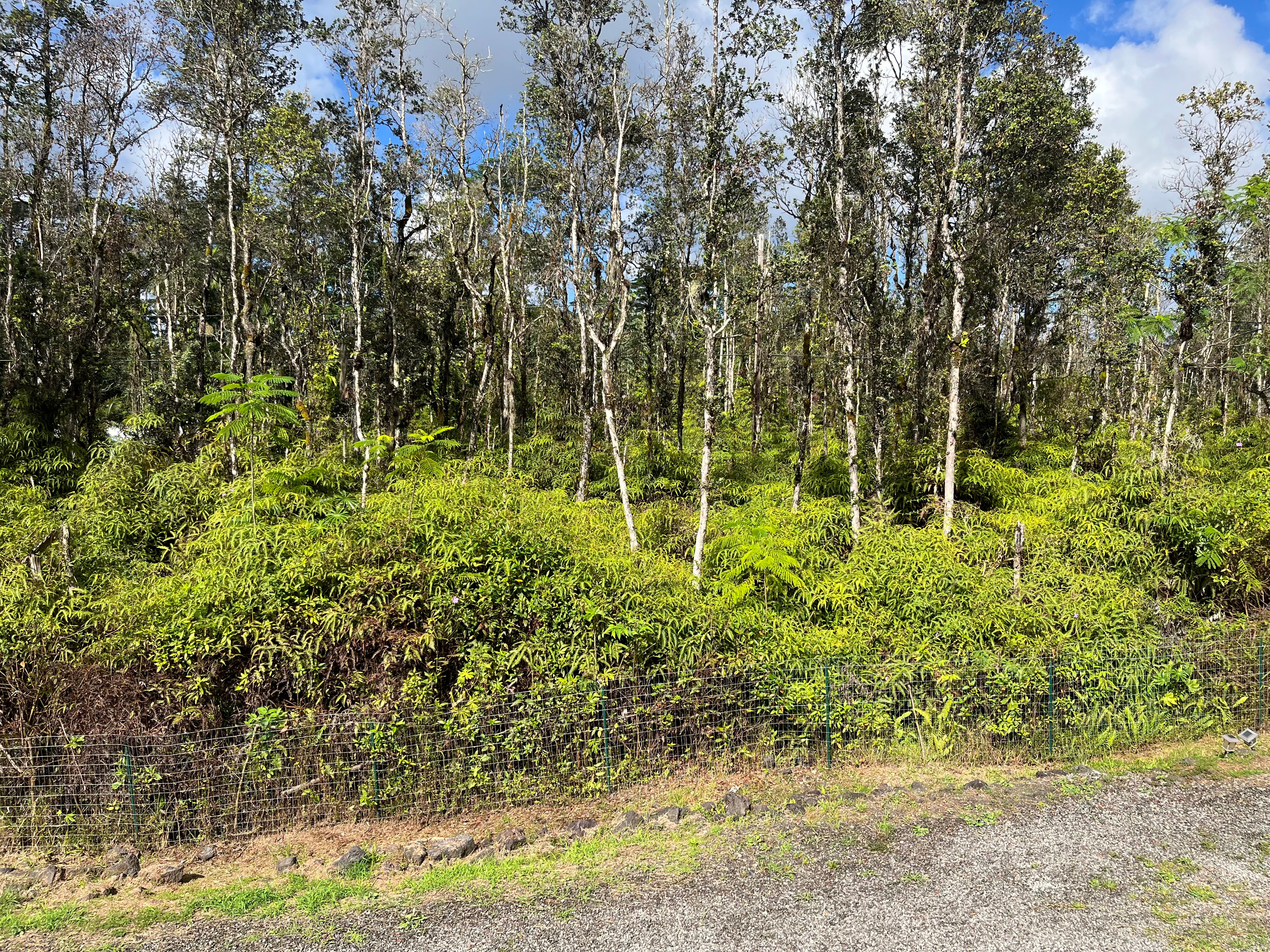 14-3475 Tutu Lane Pahoa, HI 96778 - Photo 25 of 26 a garden view