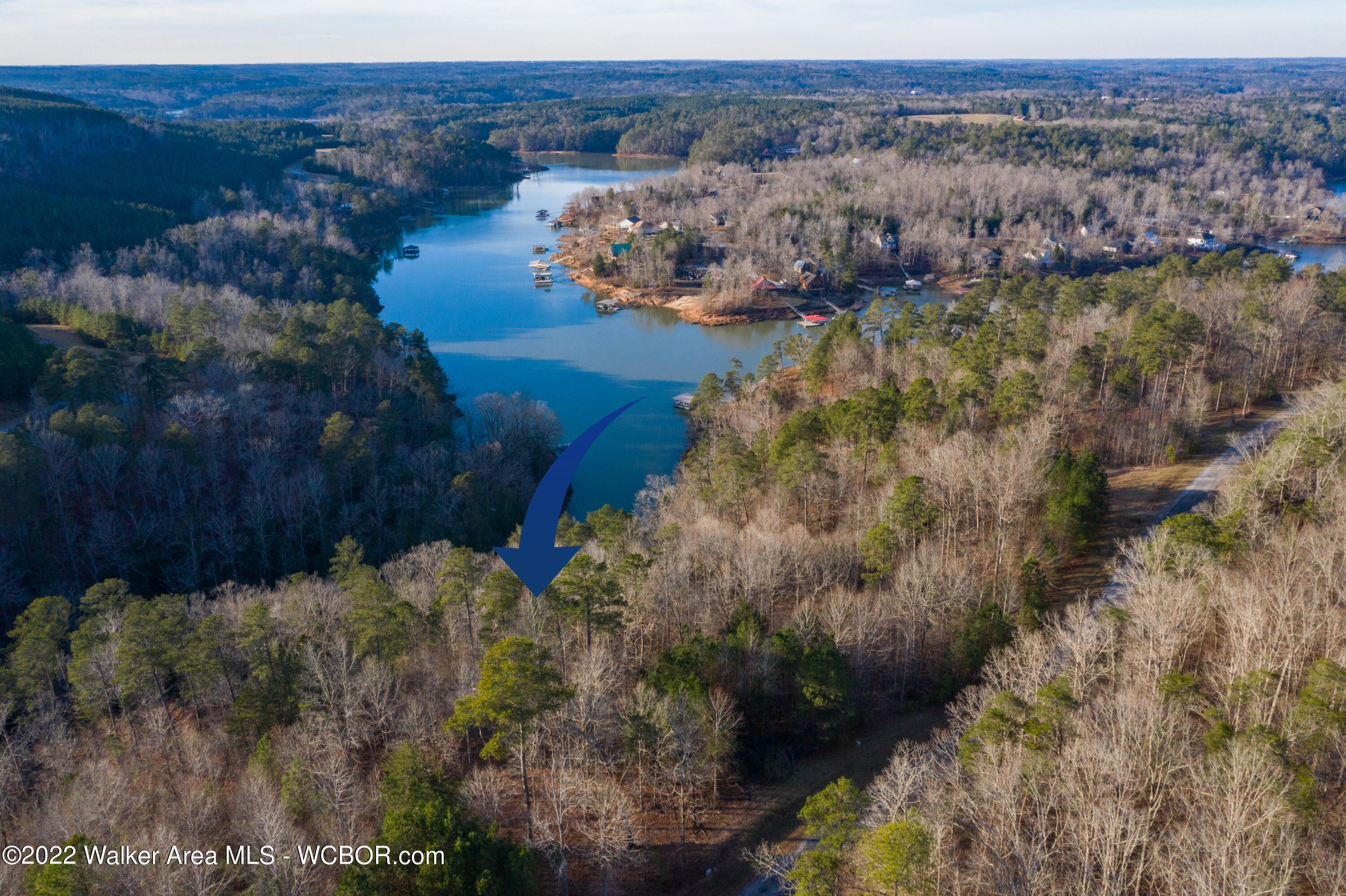 Lot 111 Sipsey Overlook Road Houston, AL 35572 - Photo 4 of 14 Gallery Image 4