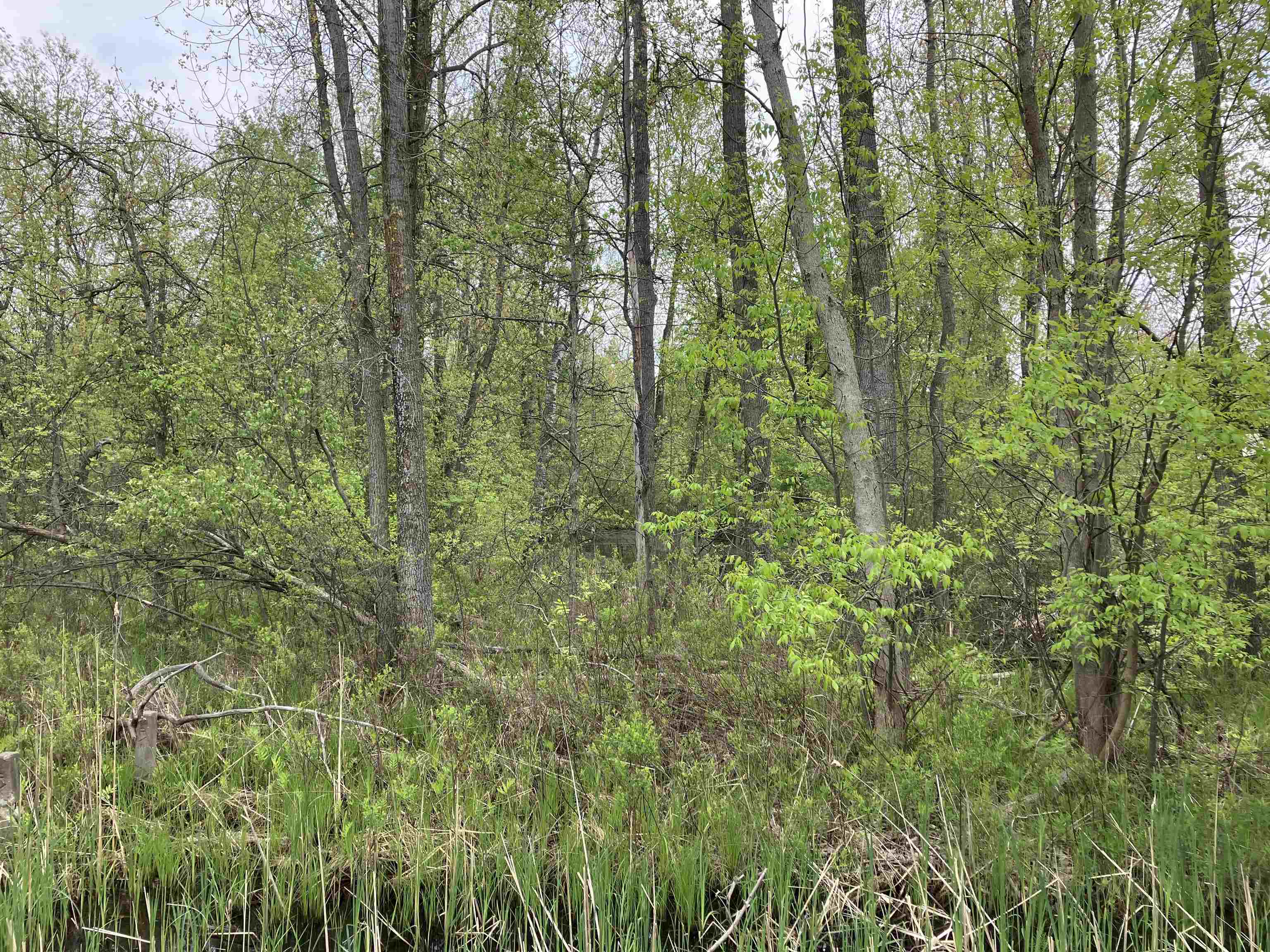 3.96-acres West Isabella Road Midland, MI 48640 - Photo 2 of 9