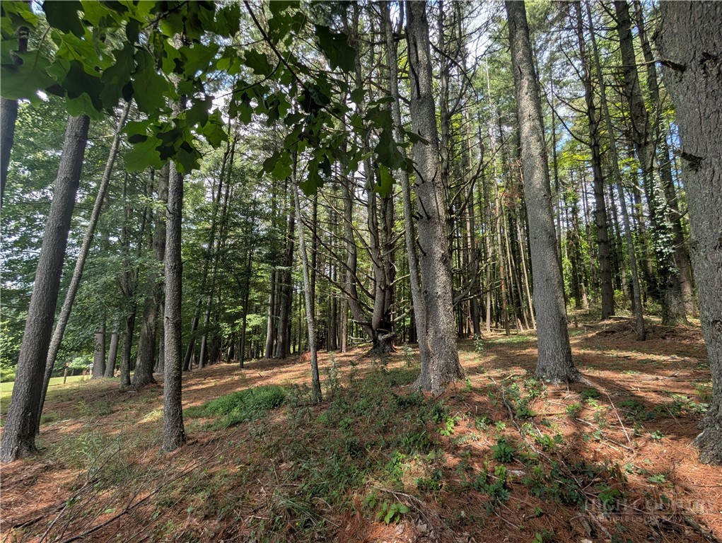 Doell Lane, Unit 20 Sparta, NC 28675 - Photo 17 of 18