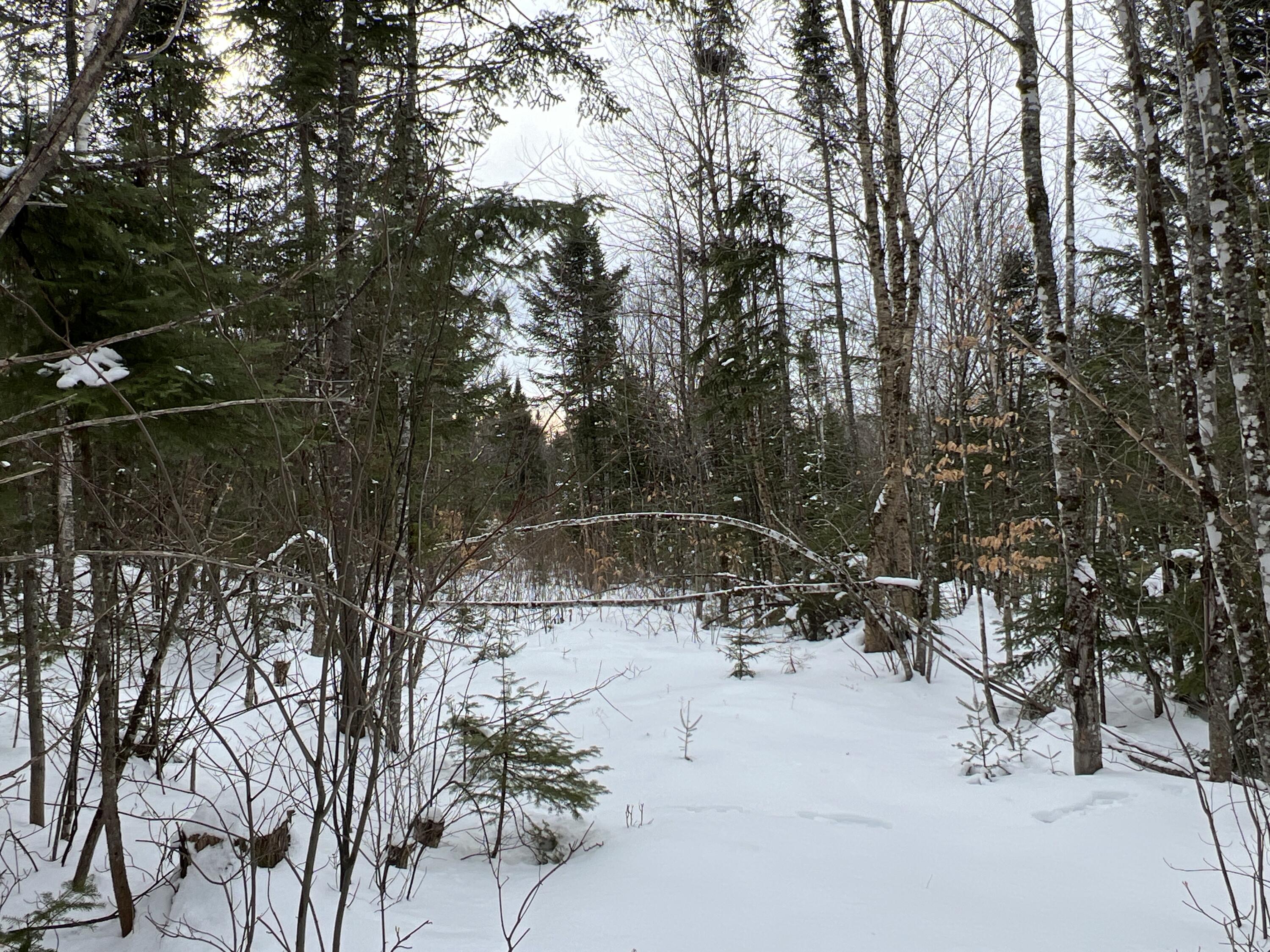 Lot 2-18 Shin Pond Rd Mount Mount Chase, ME 04765 - Photo 37 of 59
